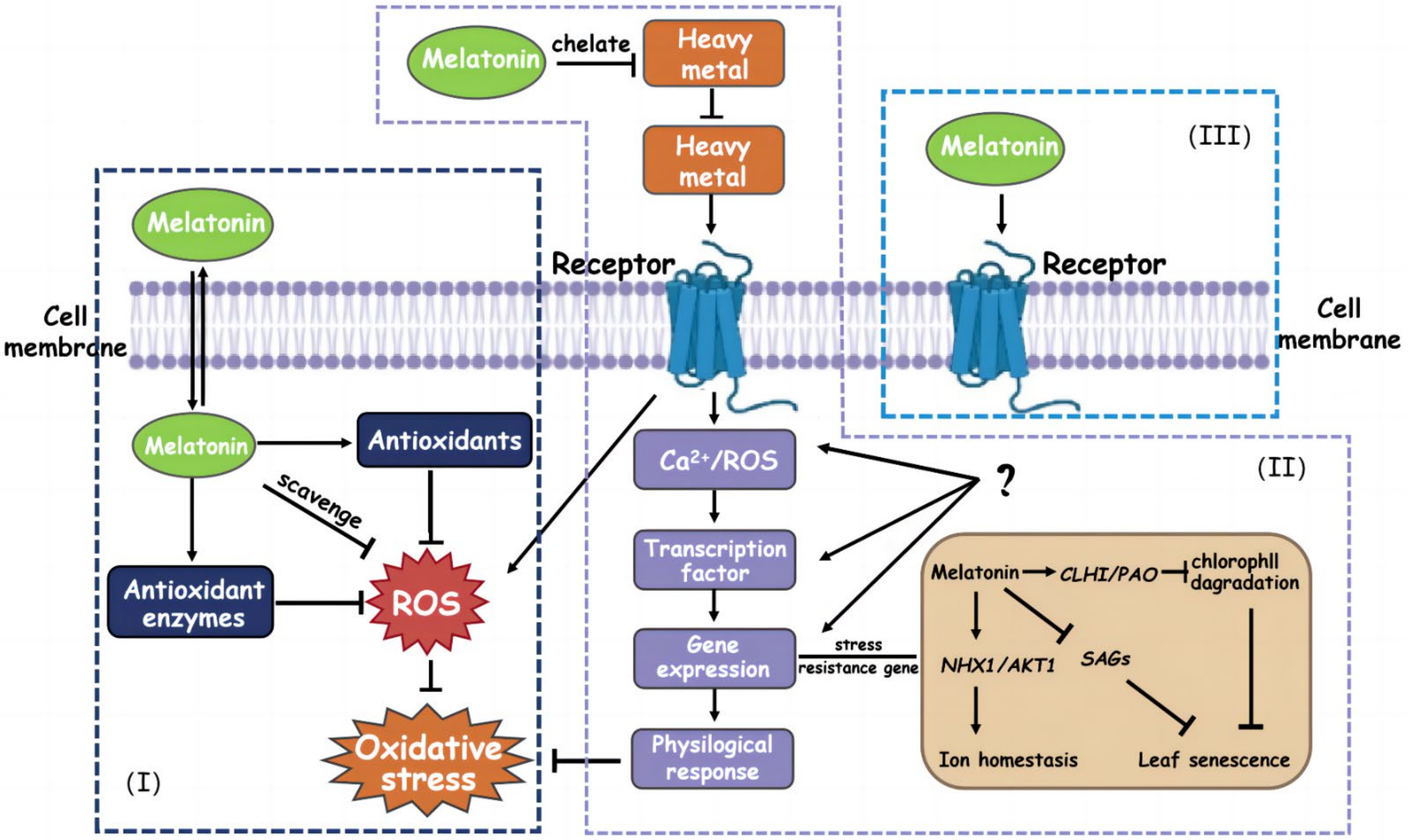 Agronomy 14 02094 g003