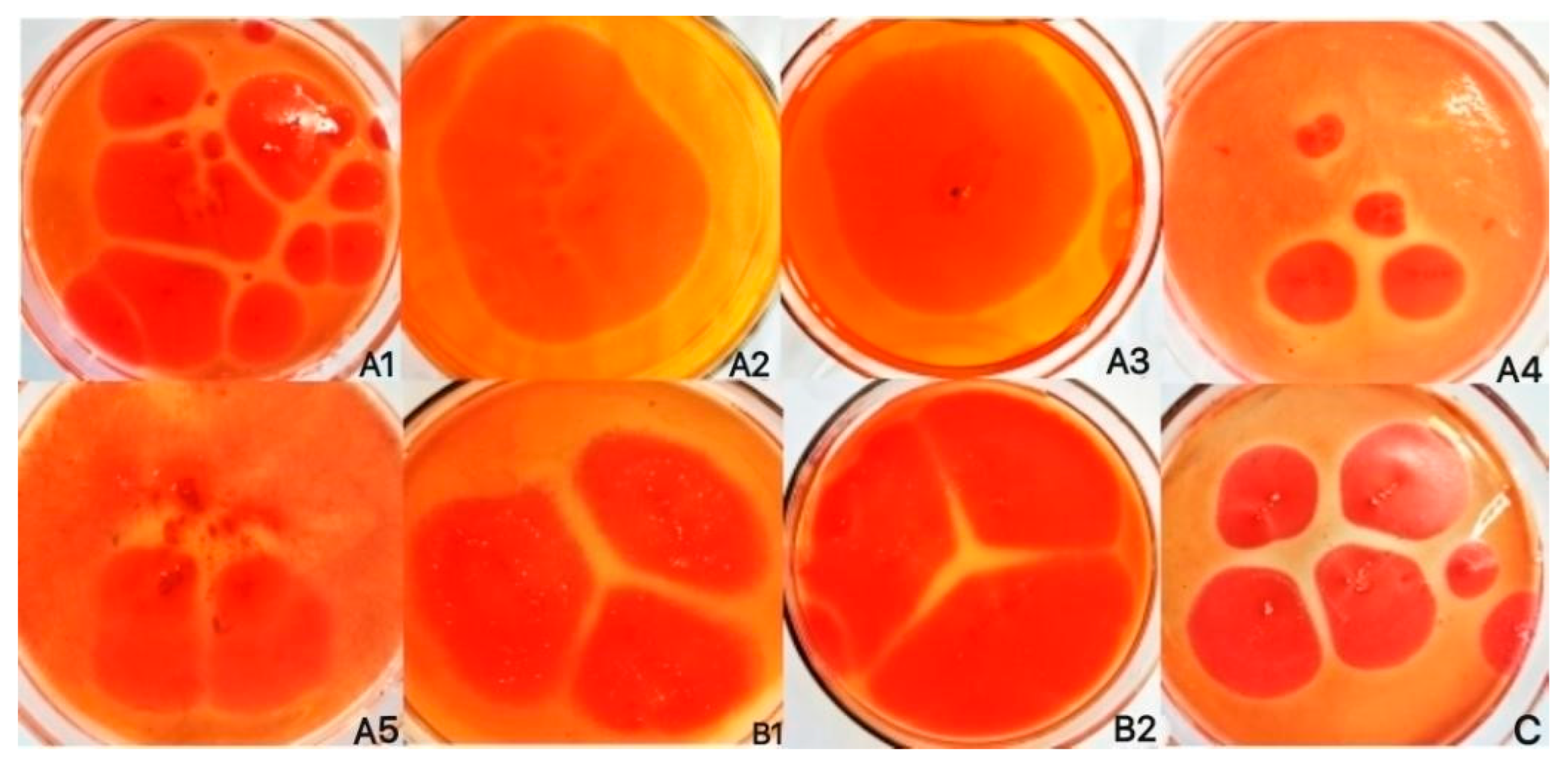 Agronomy 14 02107 g002