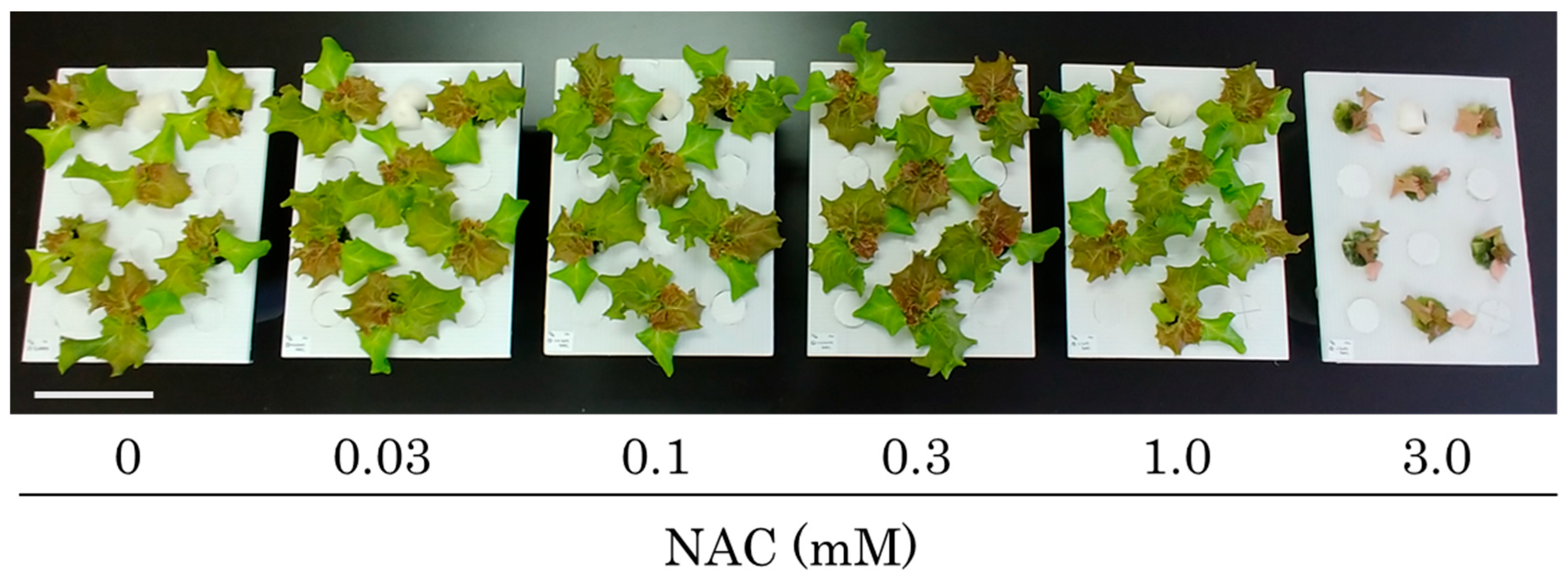 Agronomy 14 02112 g001 Agronomy 14 02112 g001