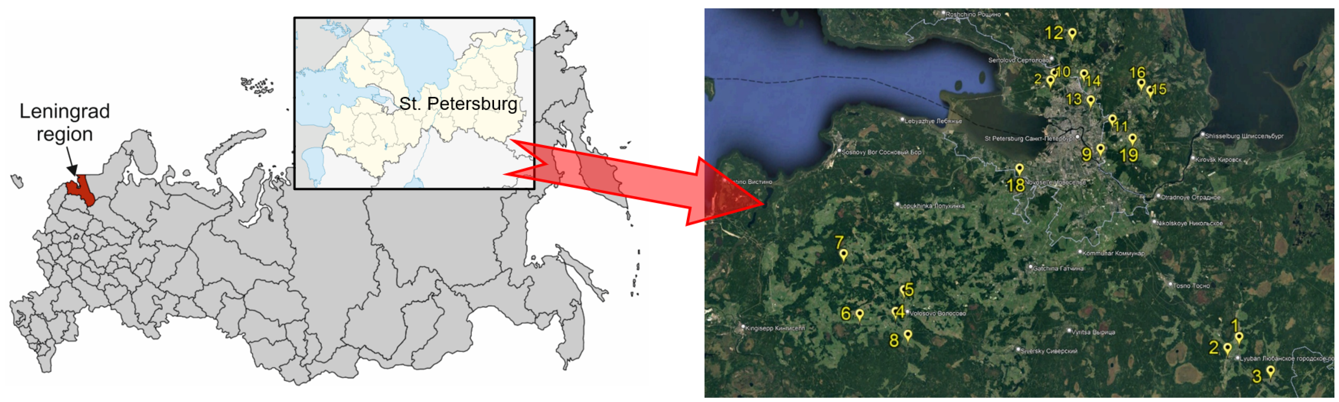 Agronomy 14 02113 g001