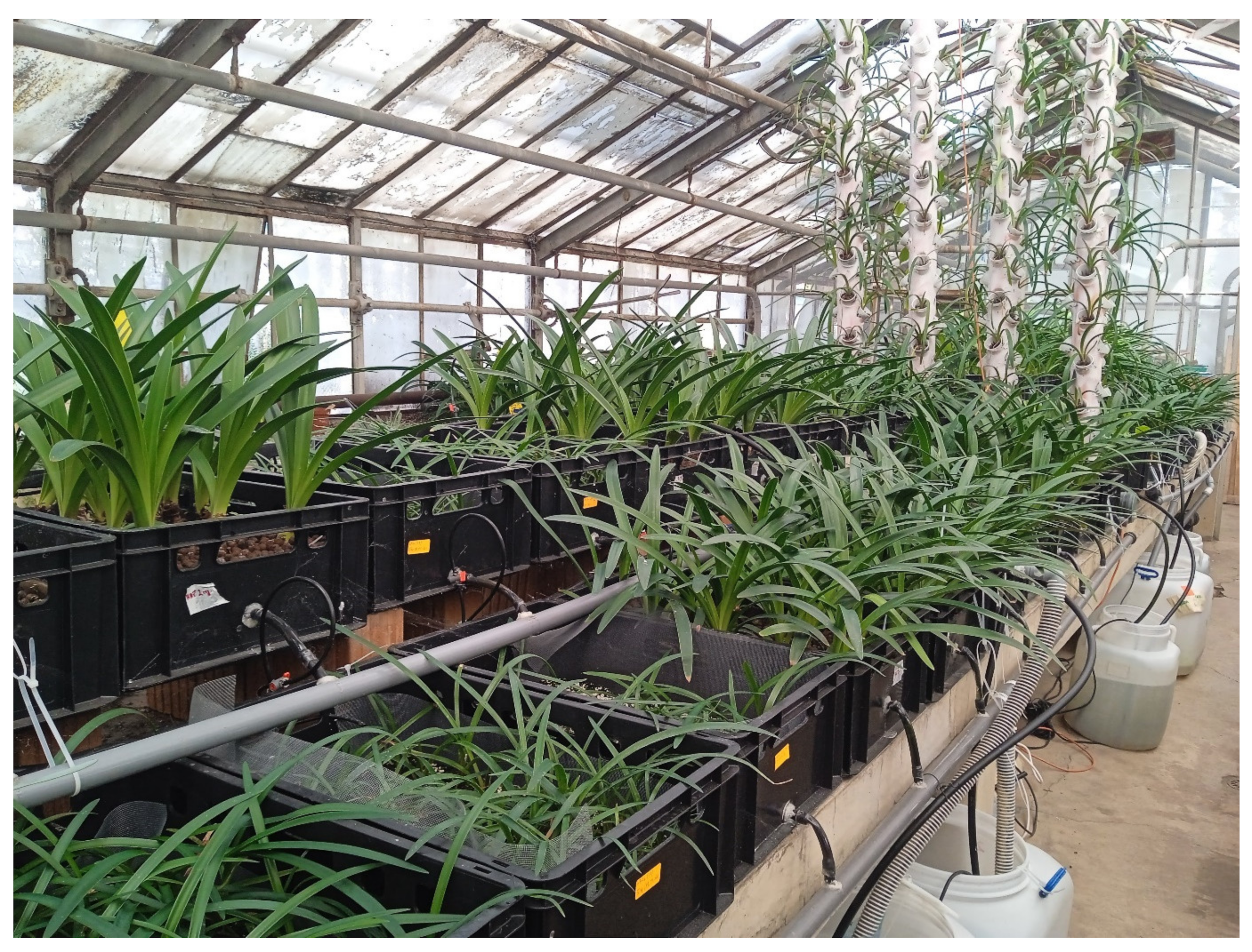 Agronomy 14 02115 g002 Agronomy 14 02115 g002