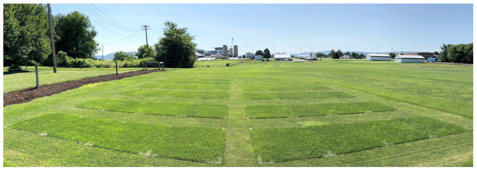 Agronomy 14 02118 g001