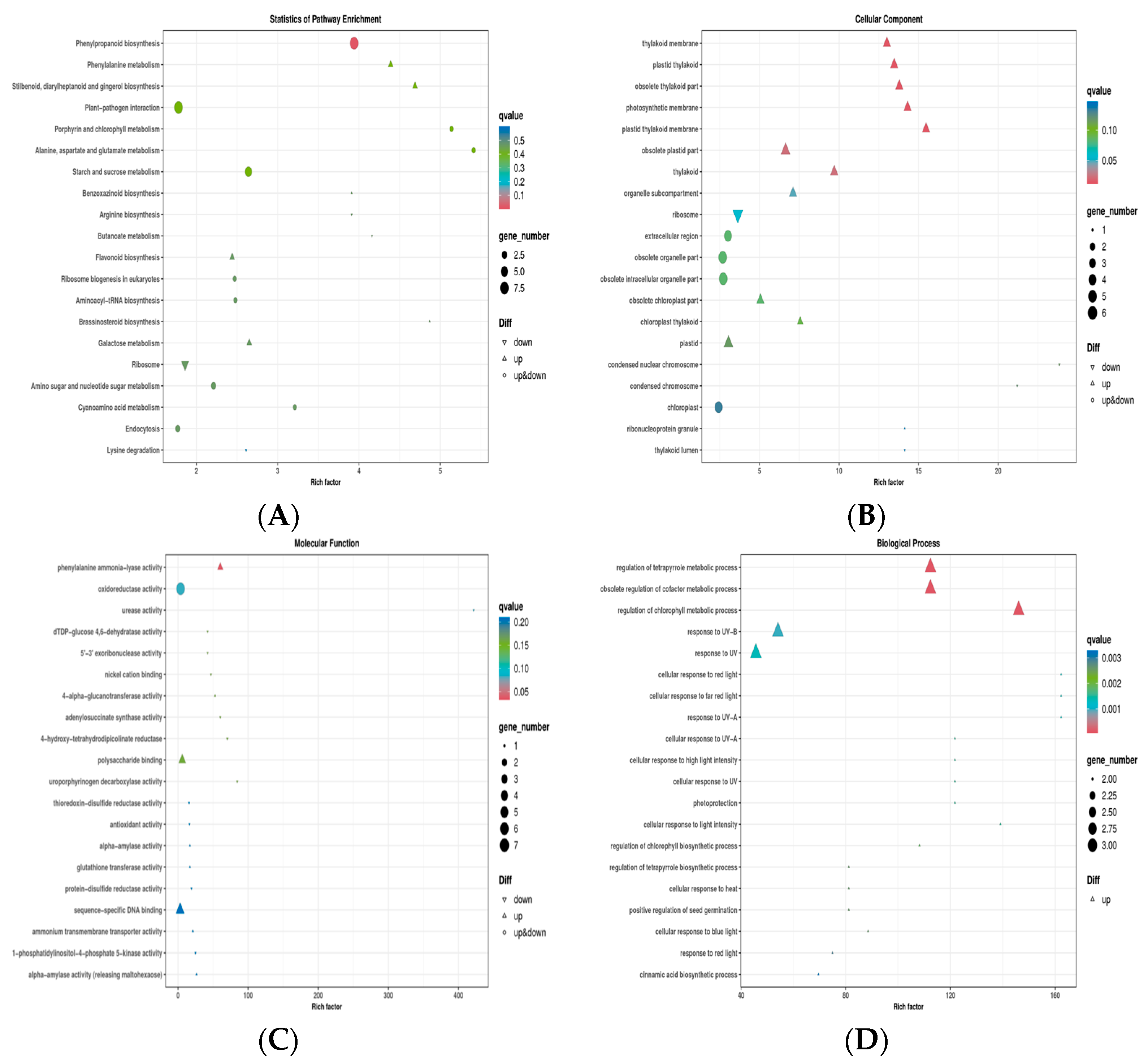 Agronomy 14 02124 g009