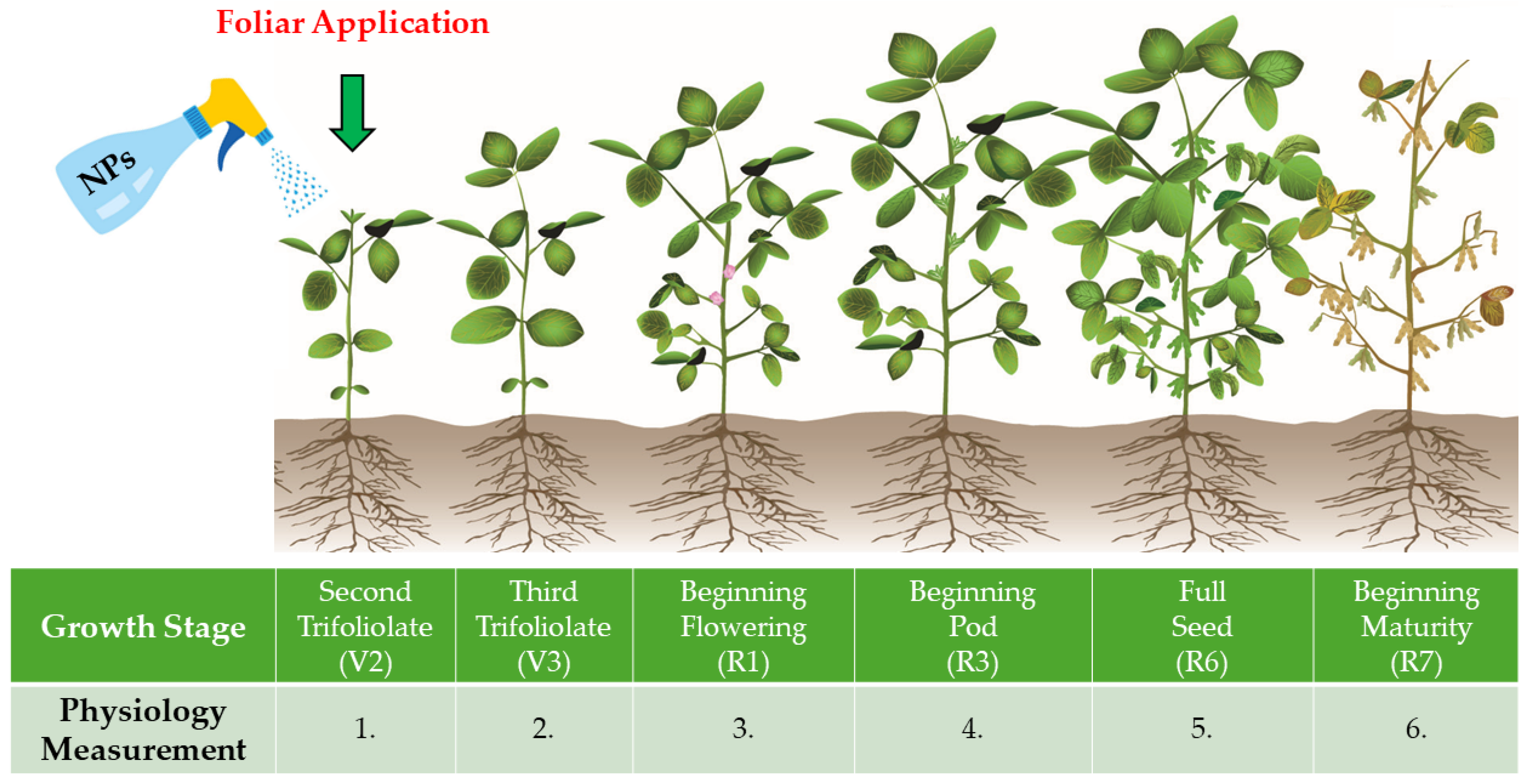 Agronomy 14 02138 g002