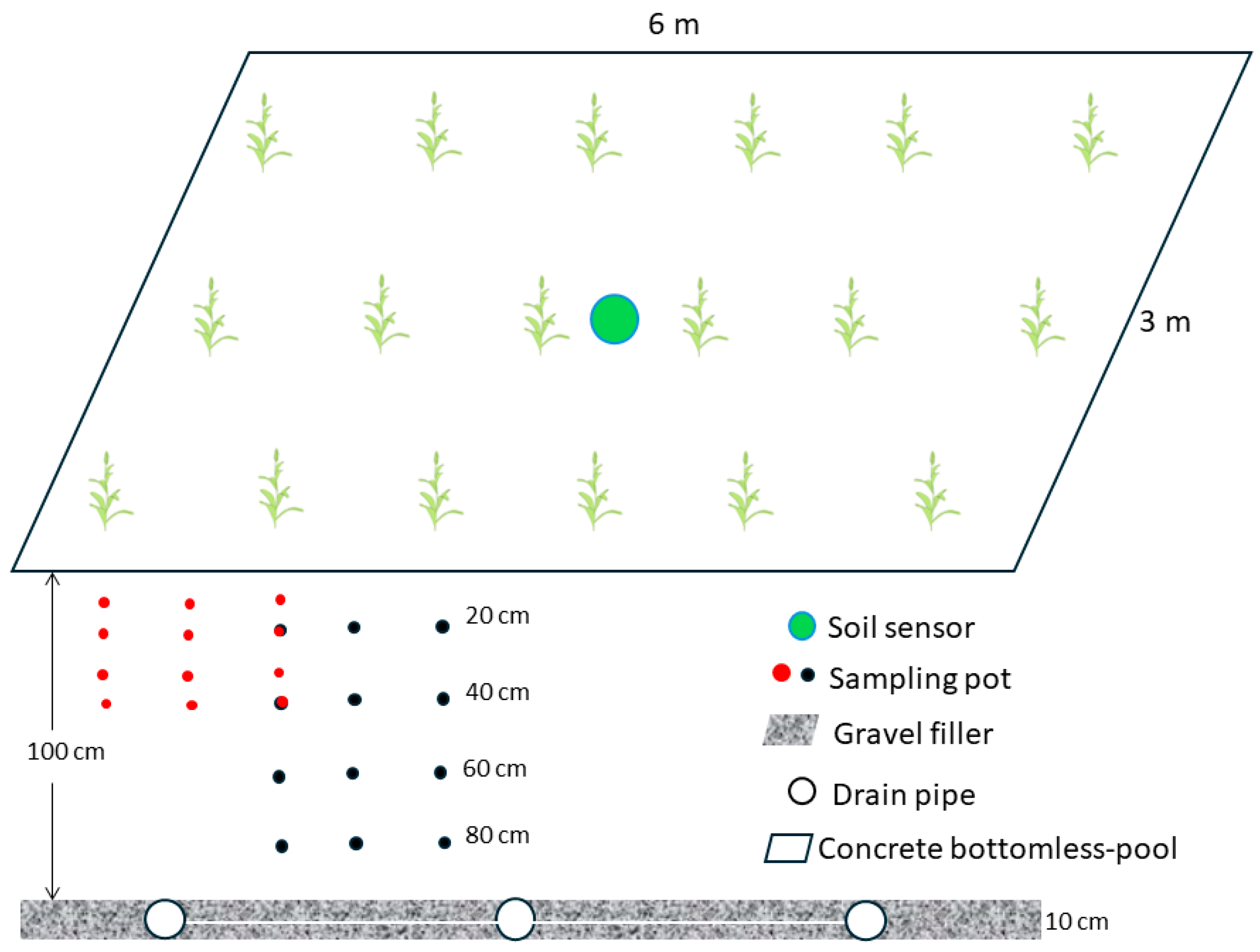 Agronomy 14 02139 g002
