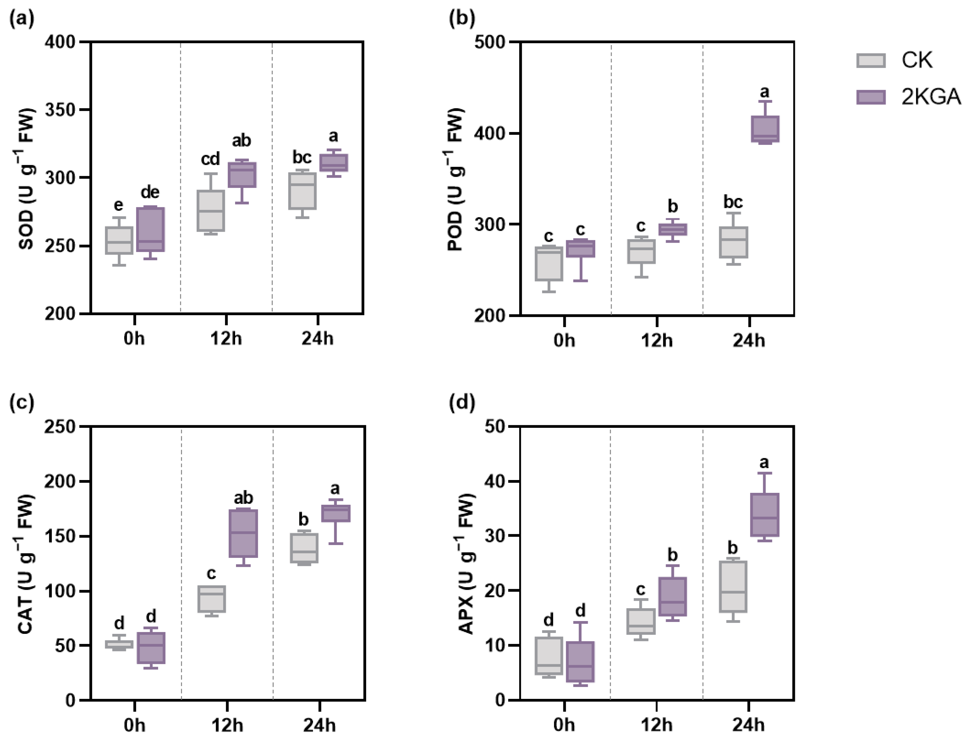 Agronomy 14 02149 g004
