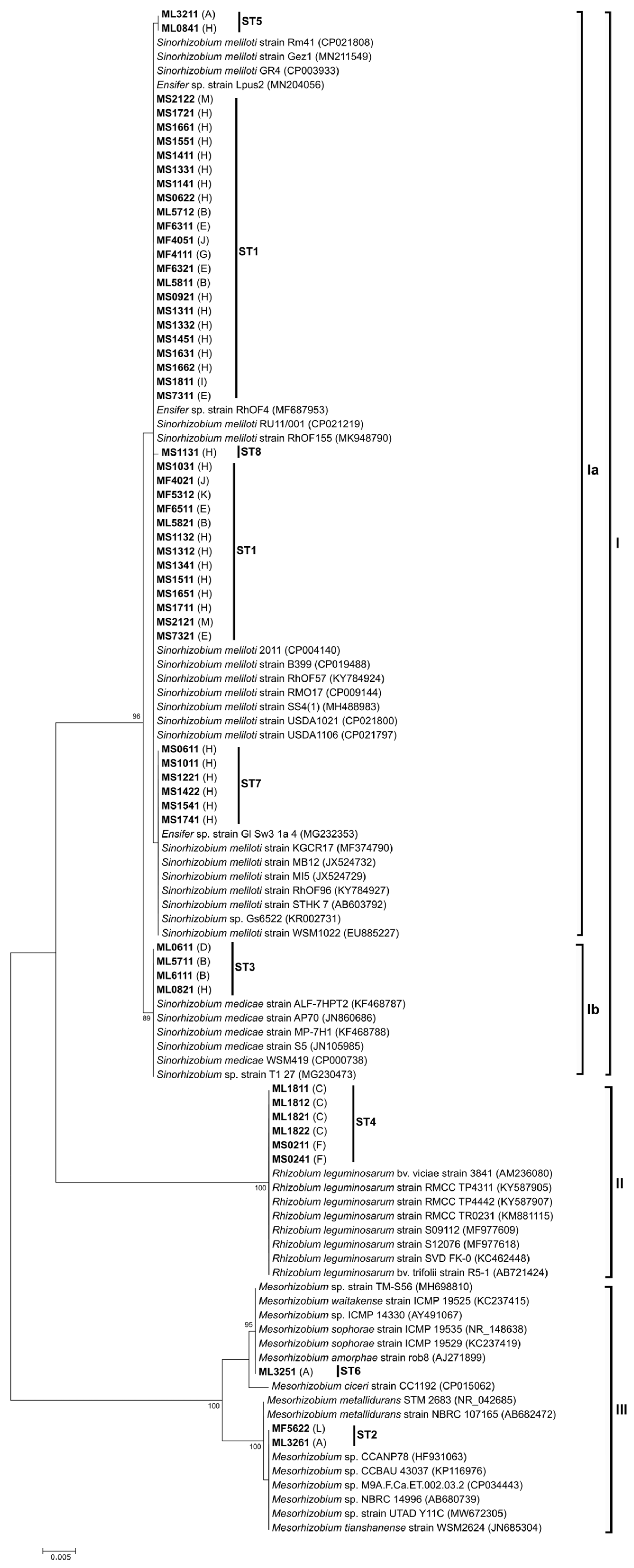 Agronomy 14 02156 g002 Agronomy 14 02156 g002