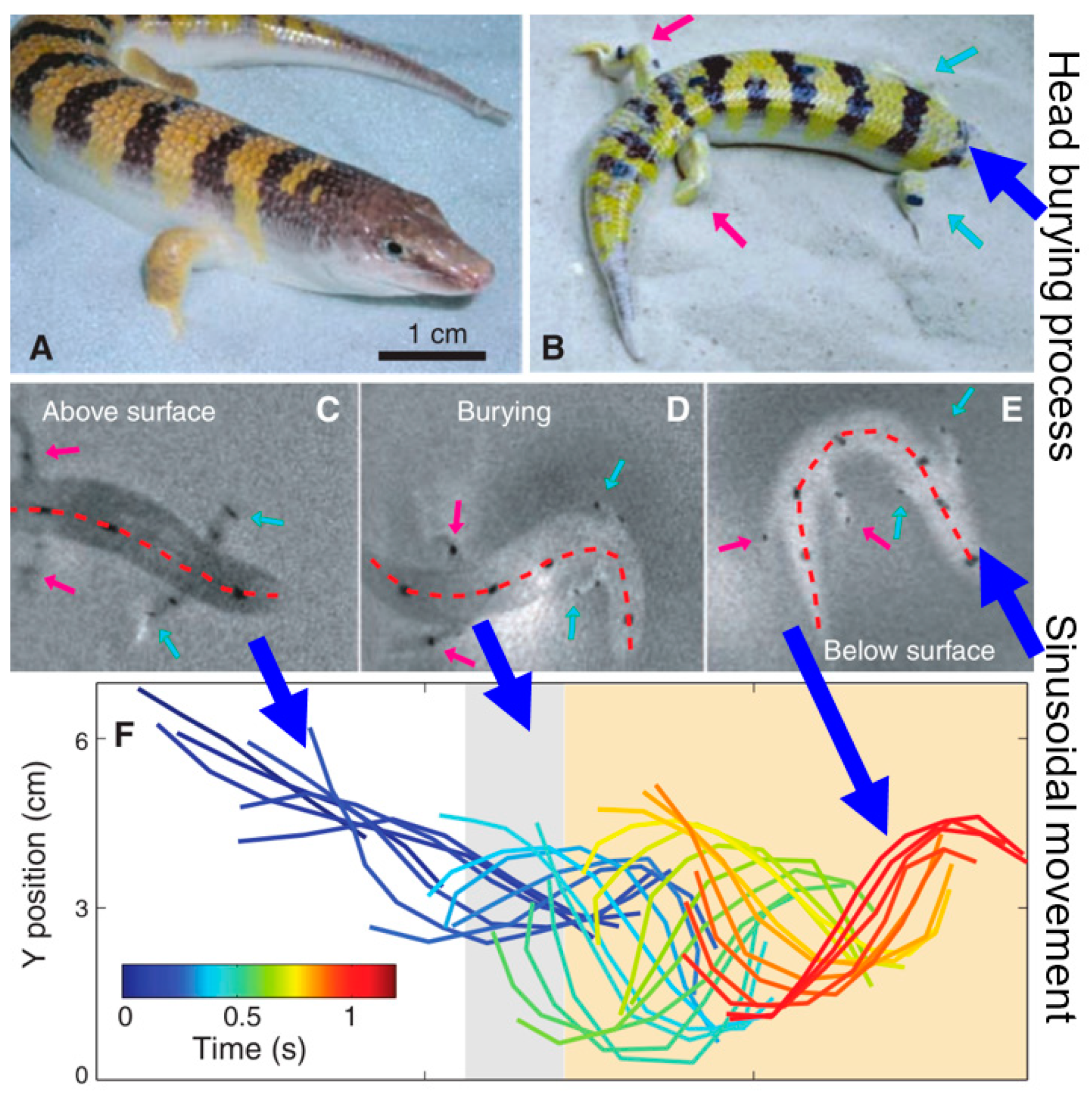 Agronomy 14 02163 g007