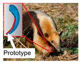 Agronomy 14 02163 i012