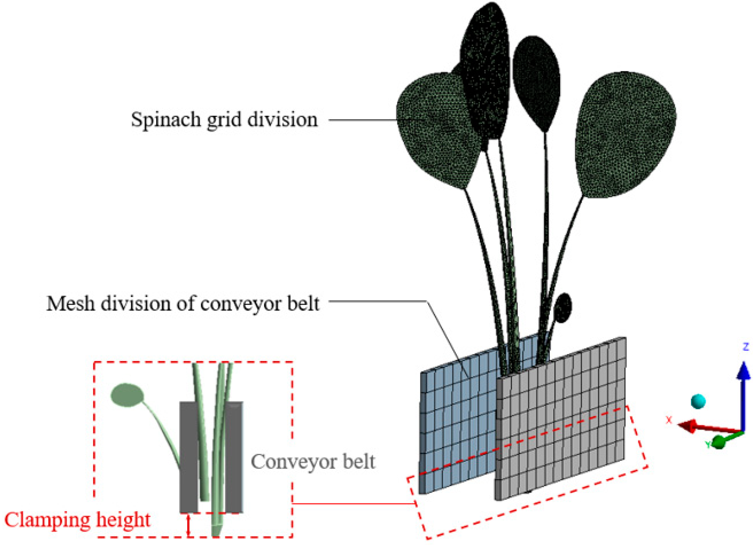 Agronomy 14 02164 g003