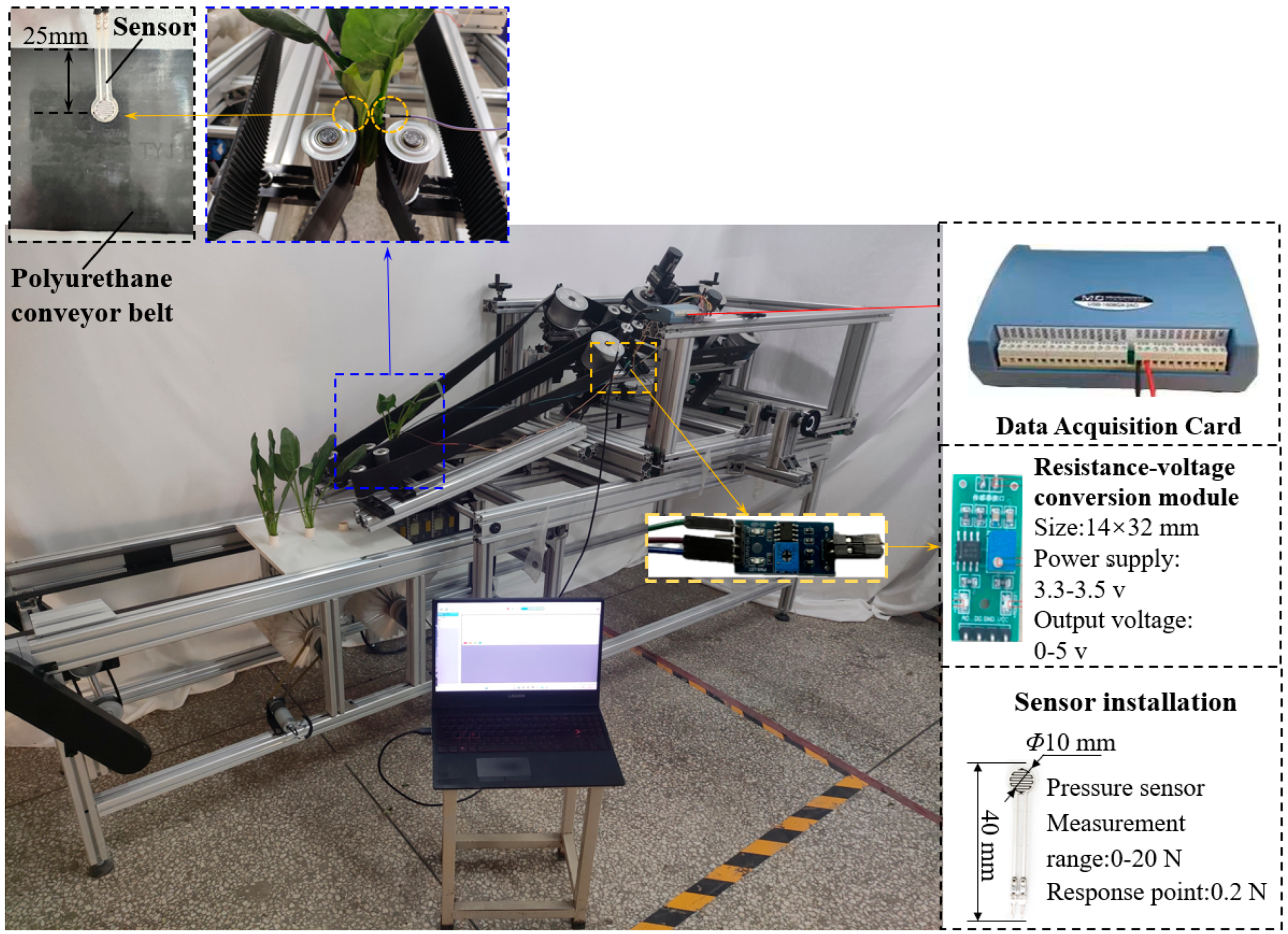 Agronomy 14 02164 g004
