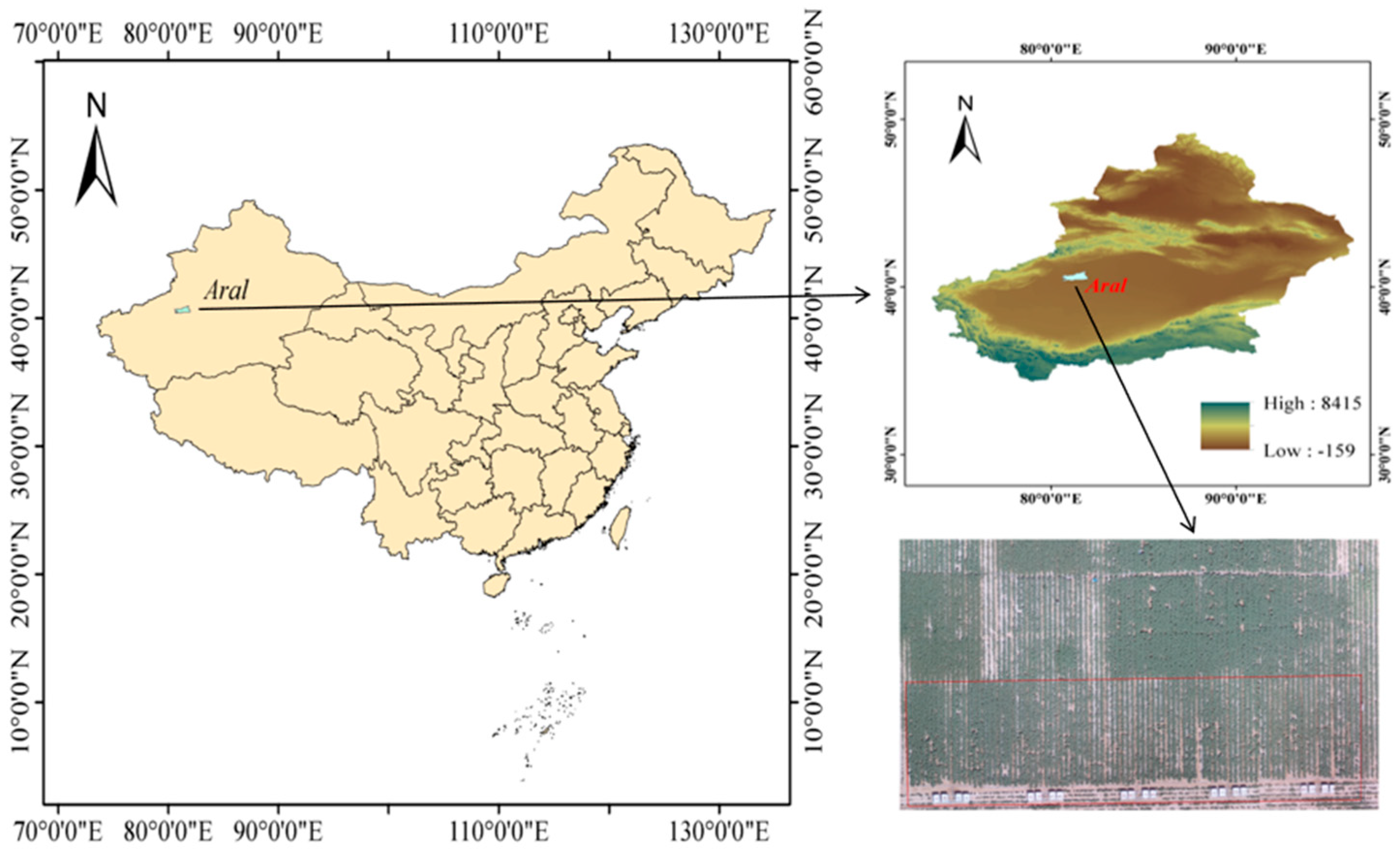 Agronomy 14 02169 g001