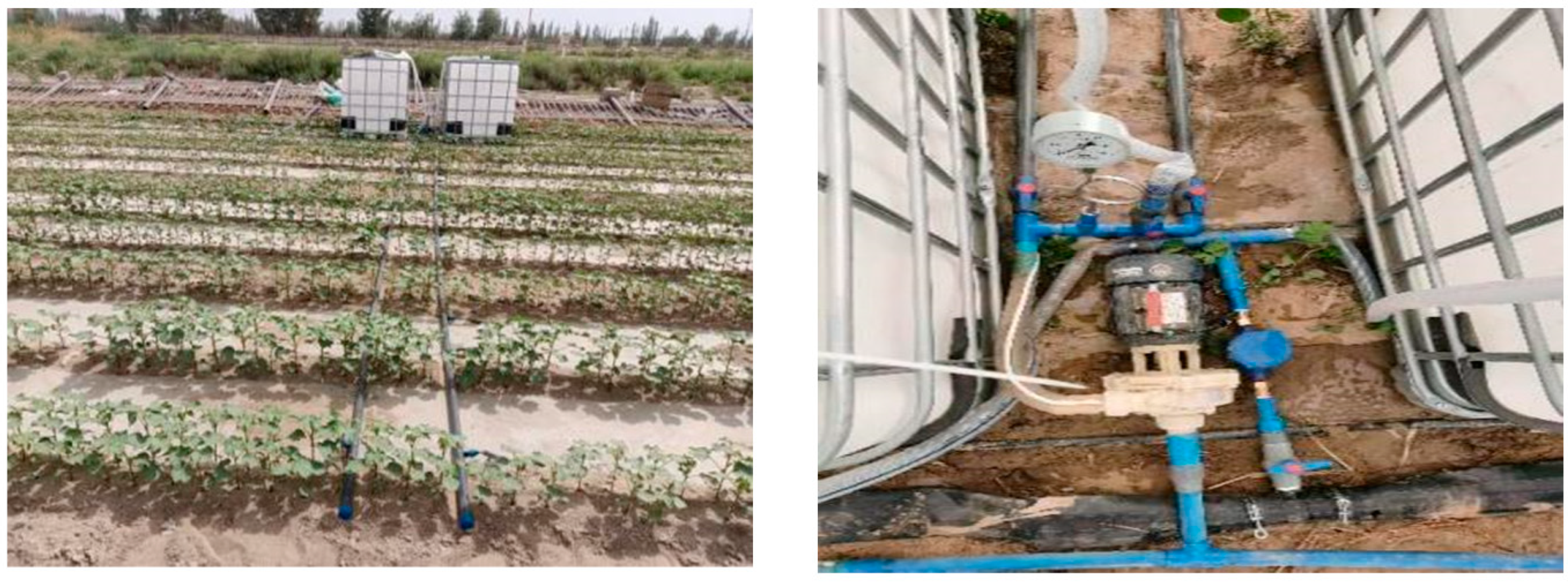 Agronomy 14 02169 g003