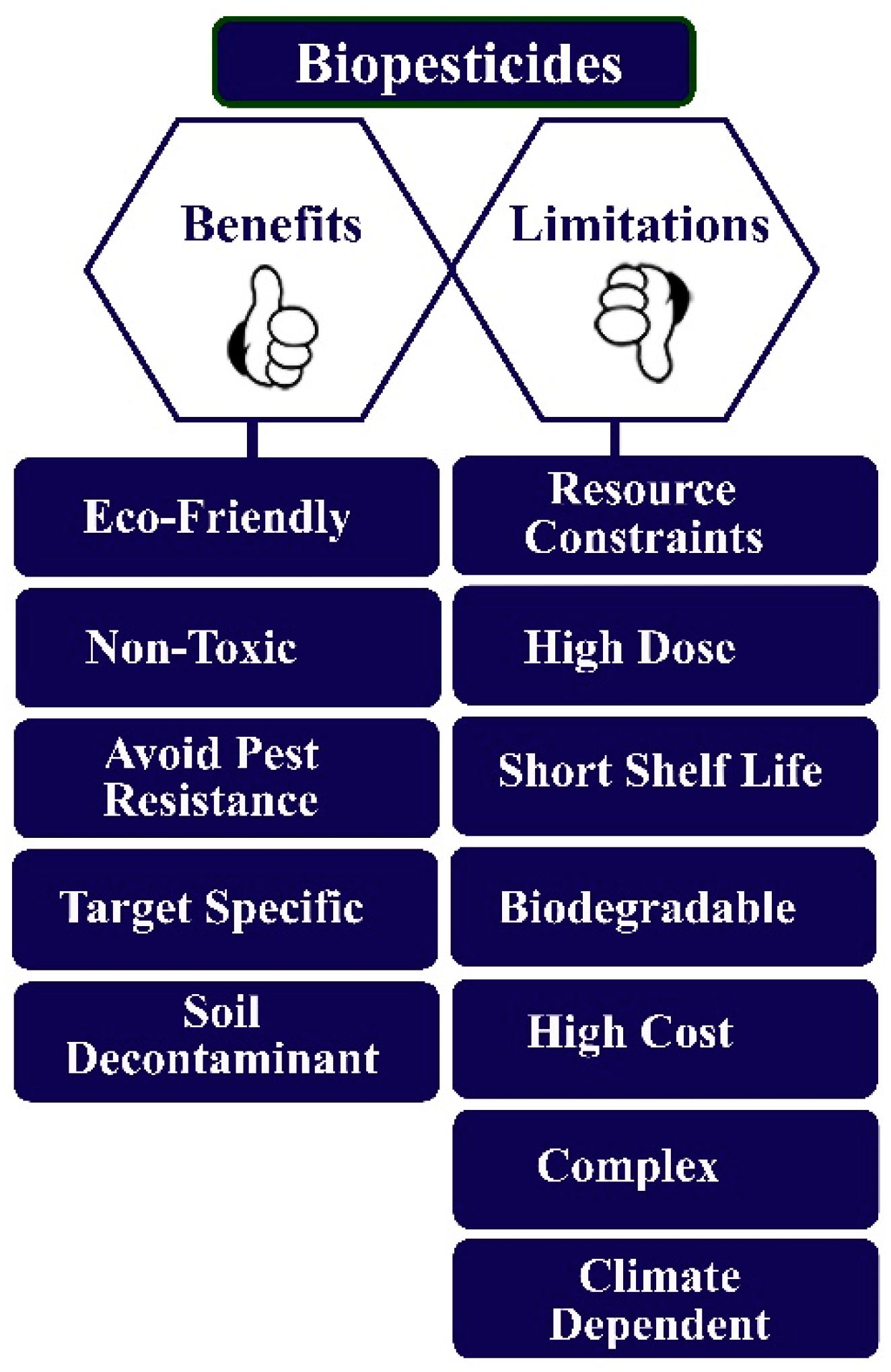 Agronomy 14 02175 g004