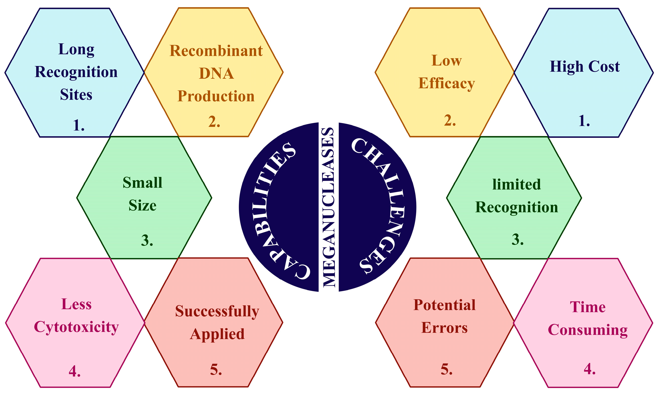 Agronomy 14 02175 g005