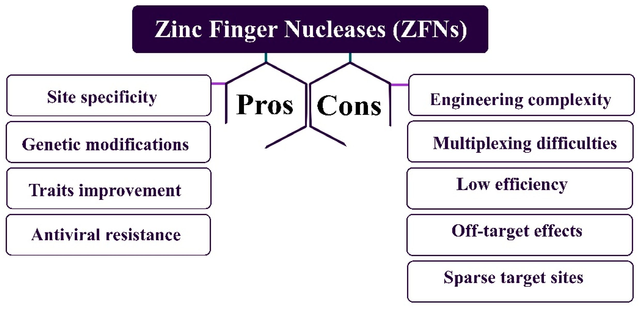 Agronomy 14 02175 g006