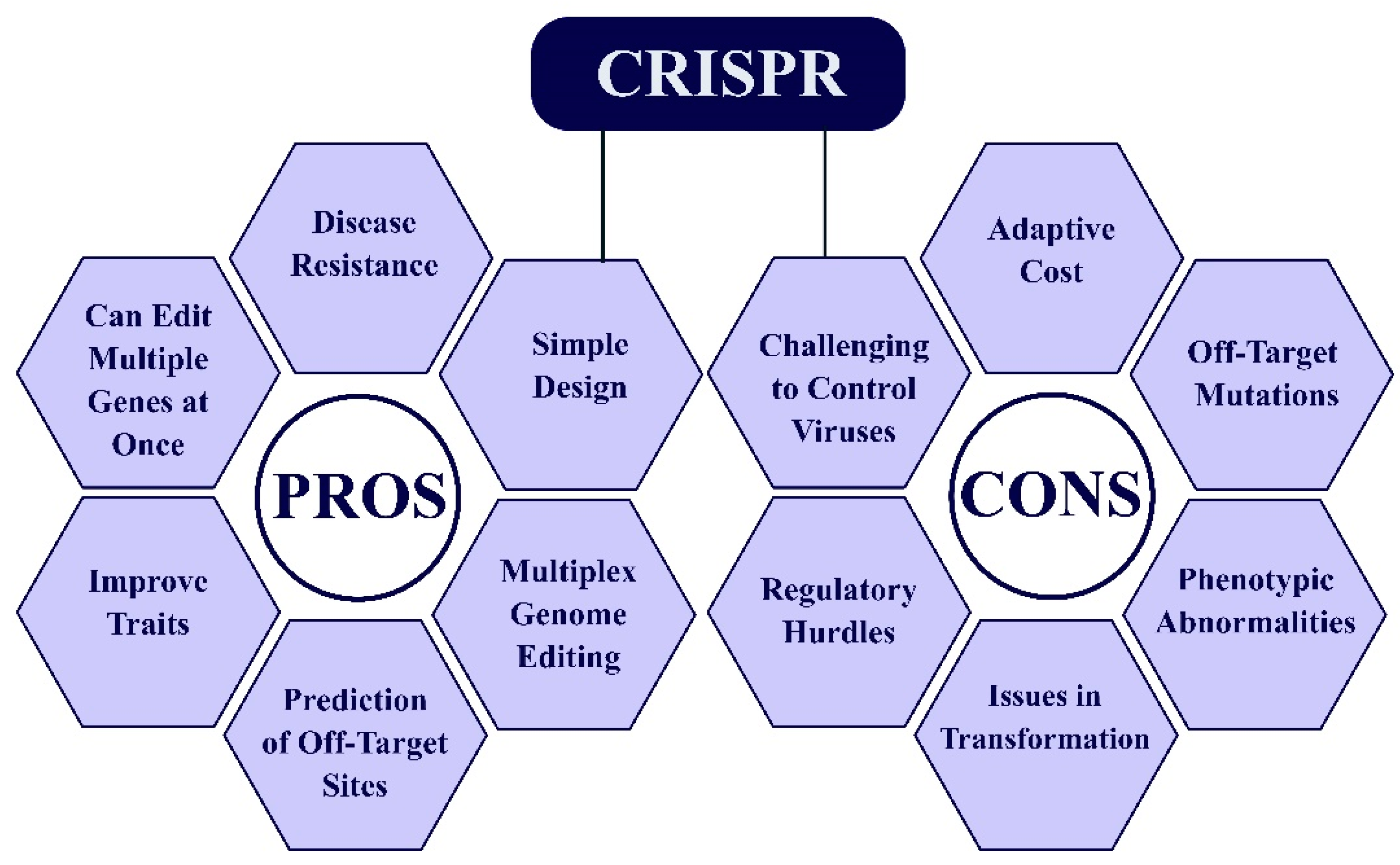 Agronomy 14 02175 g008
