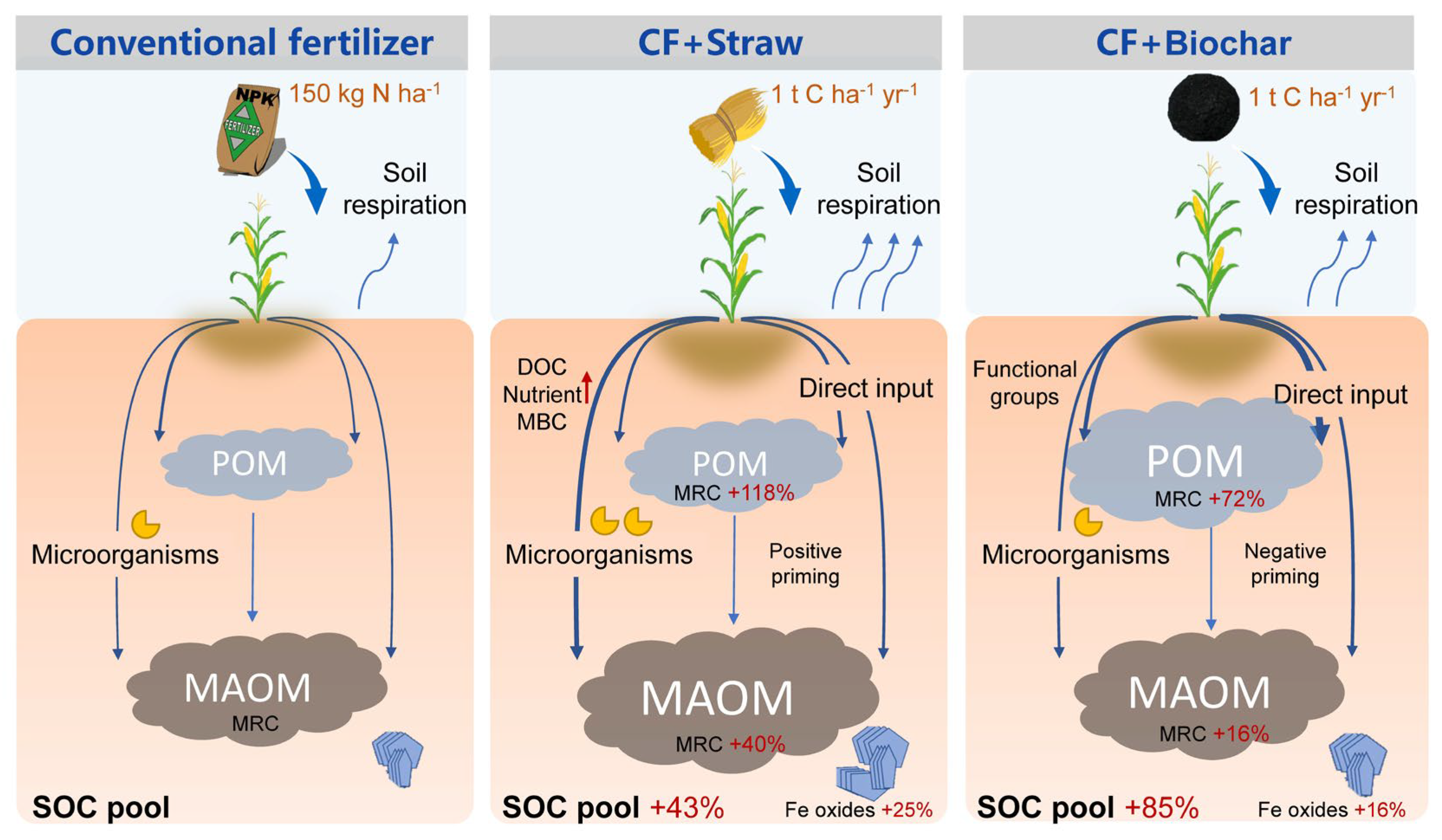 Agronomy 14 02176 g007