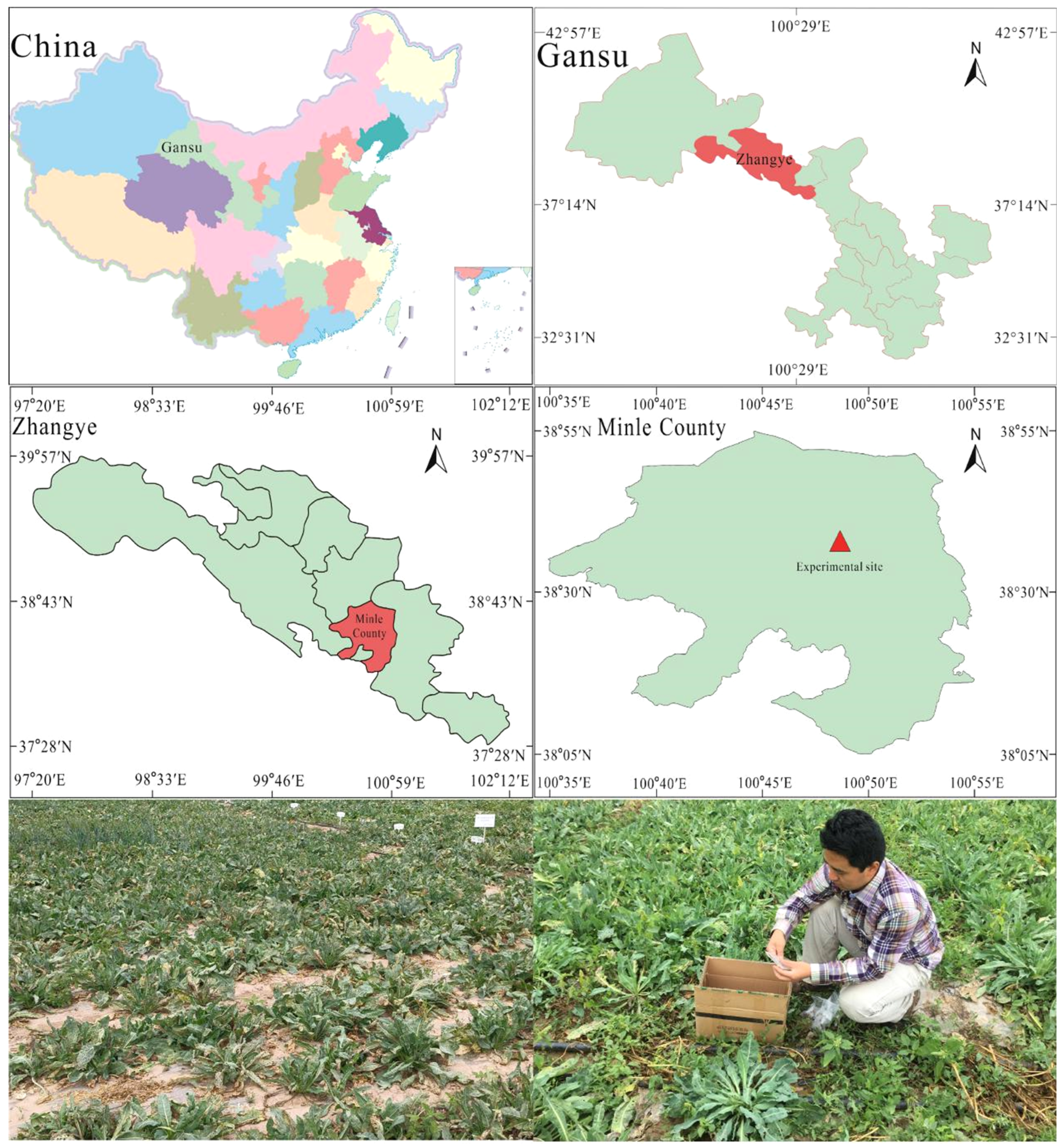 Agronomy 14 02187 g001