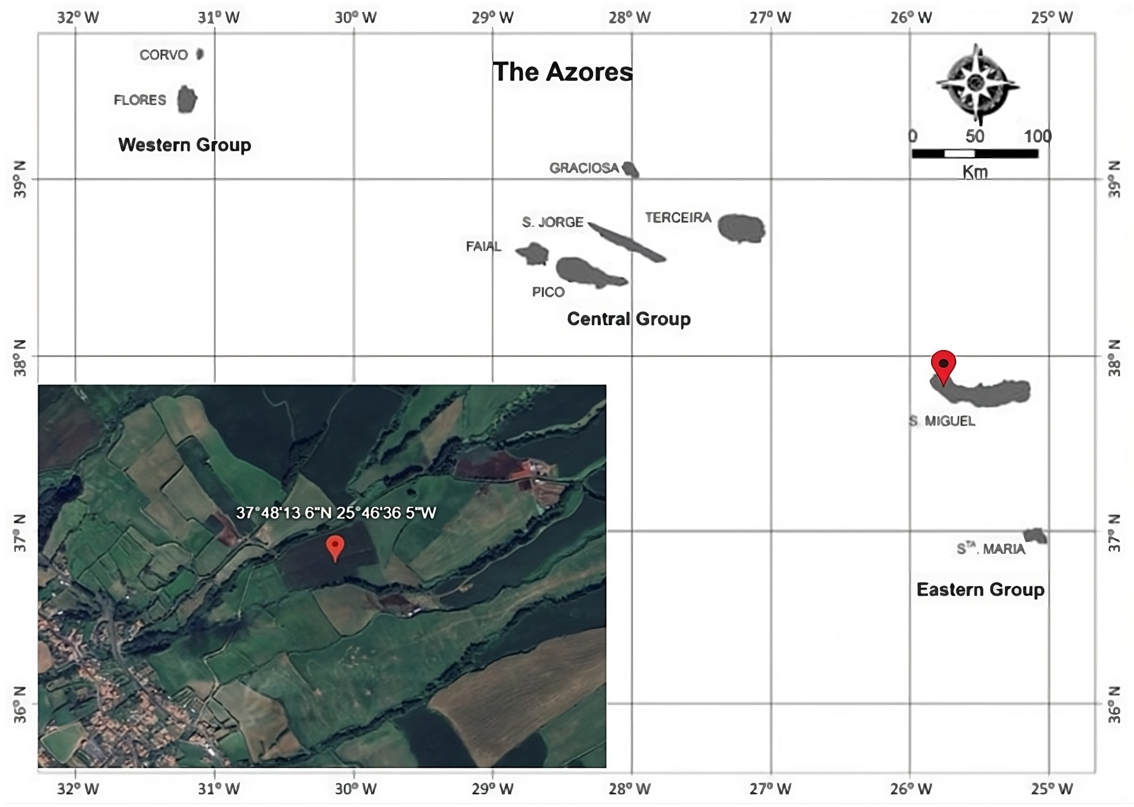 Agronomy 14 02191 g001
