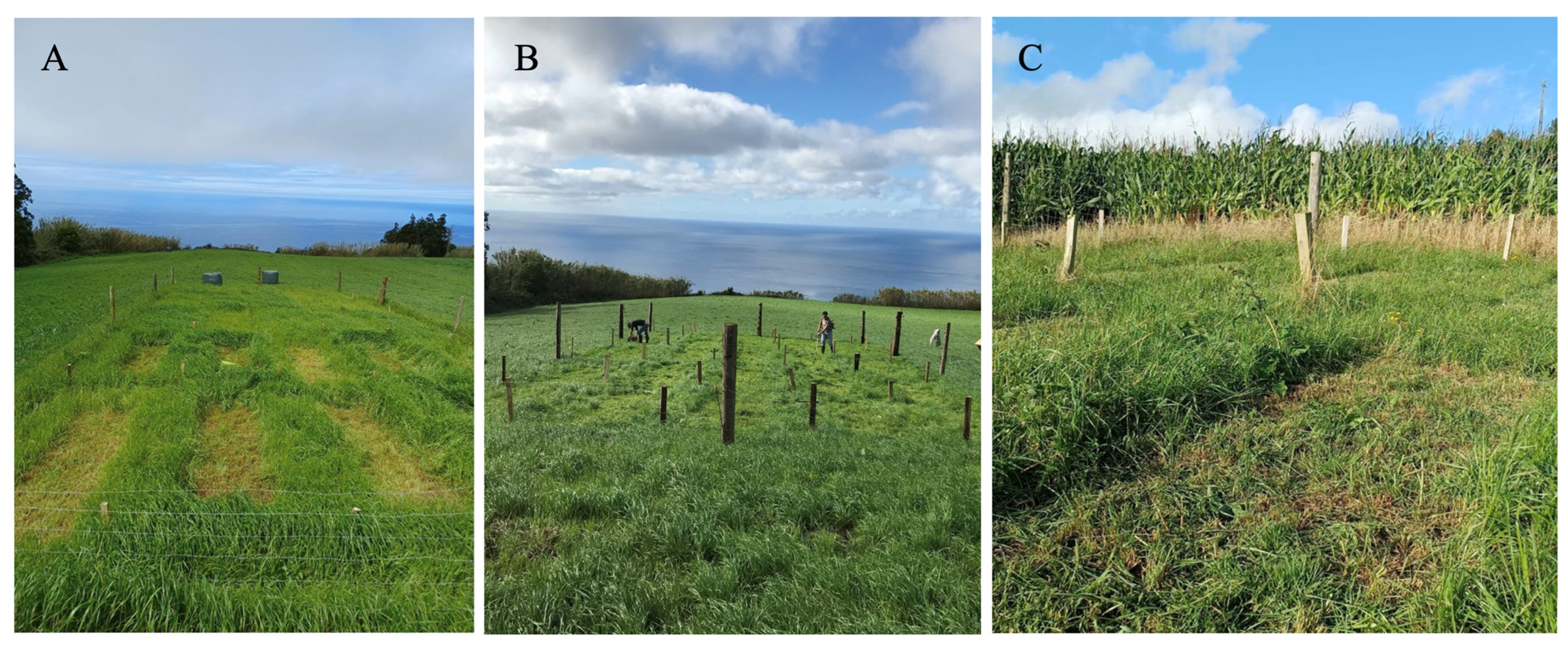 Agronomy 14 02191 g002