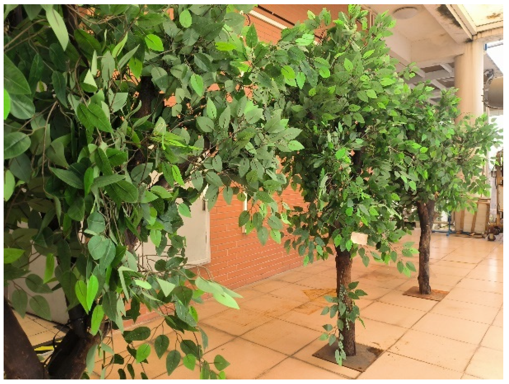 Agronomy 14 02199 g003