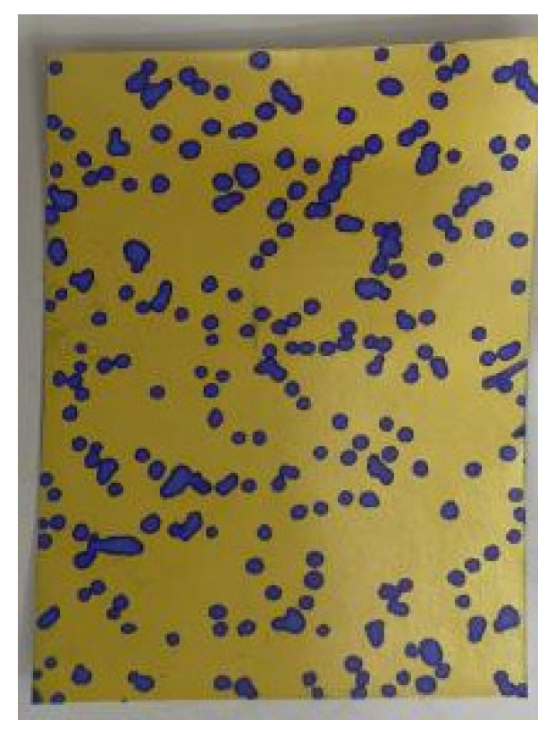 Agronomy 14 02199 g012