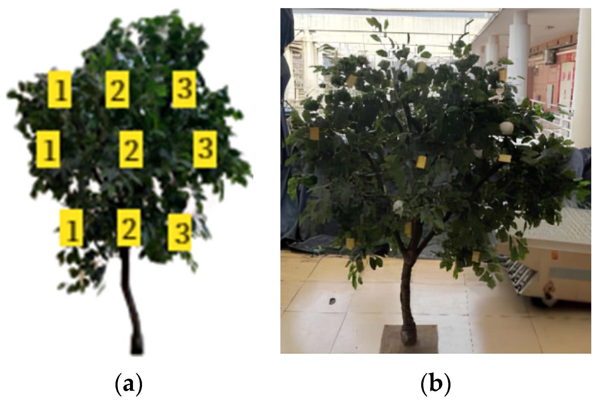 Agronomy 14 02199 g014