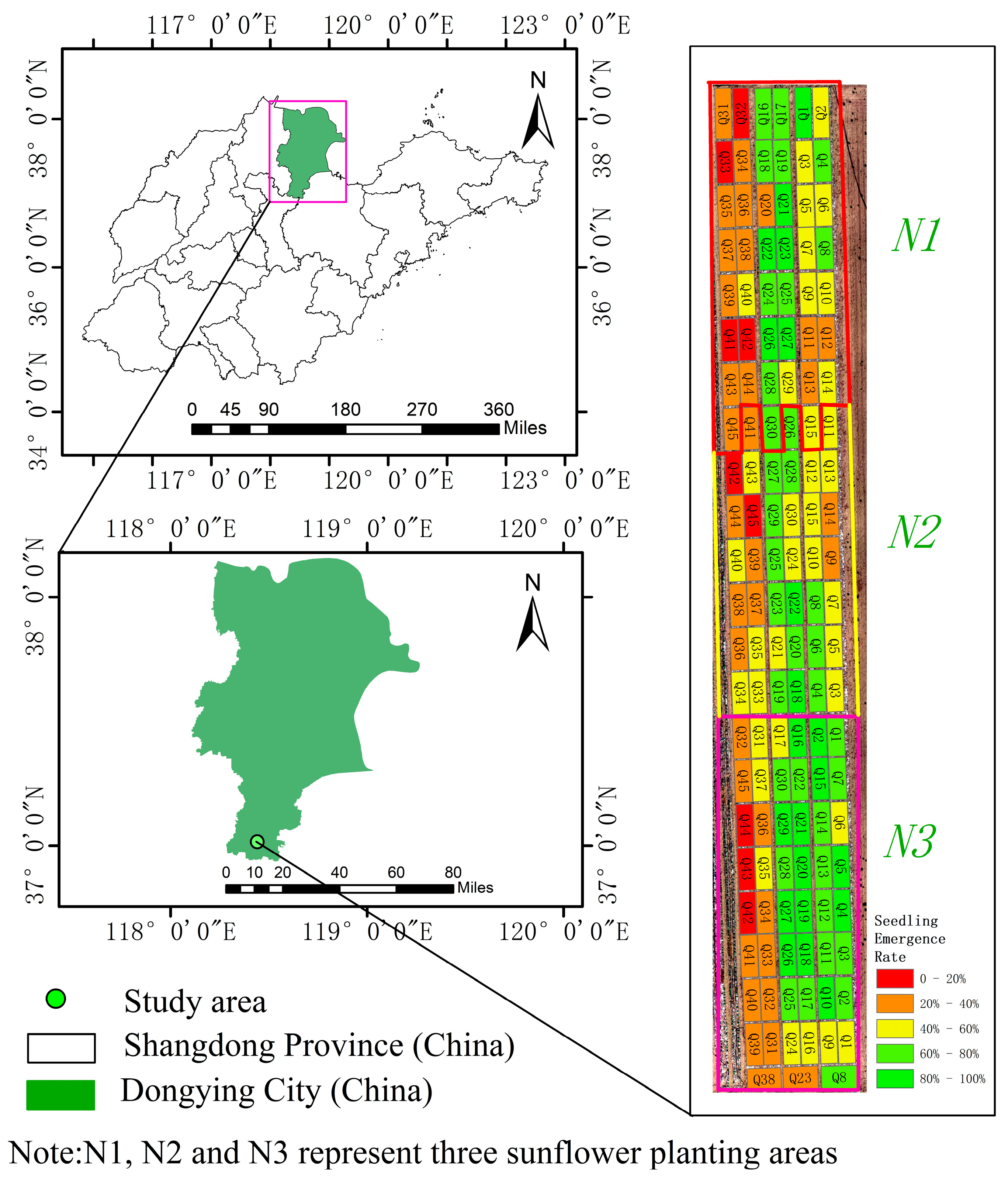Agronomy 14 02205 g009