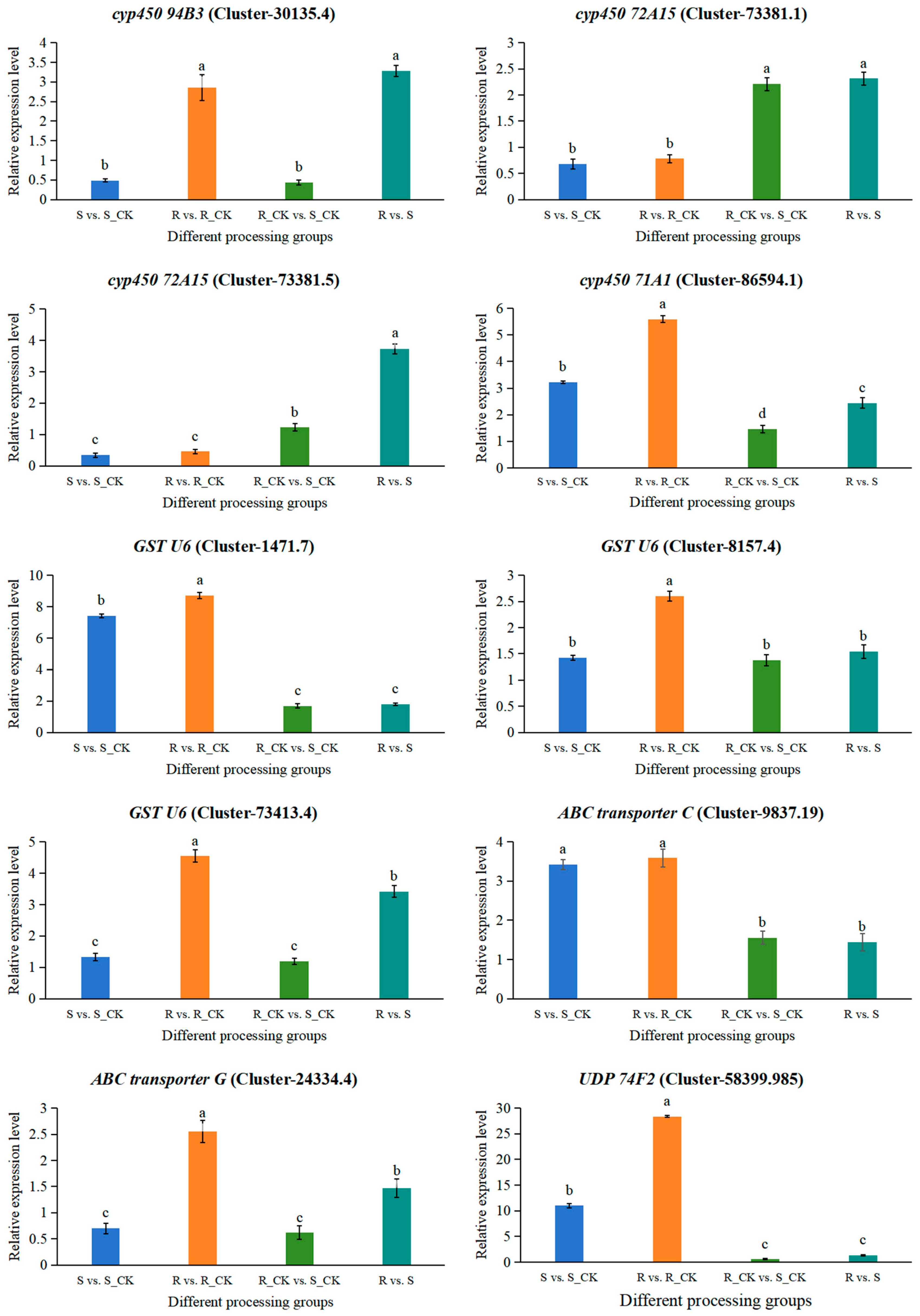 Agronomy 14 02210 g008