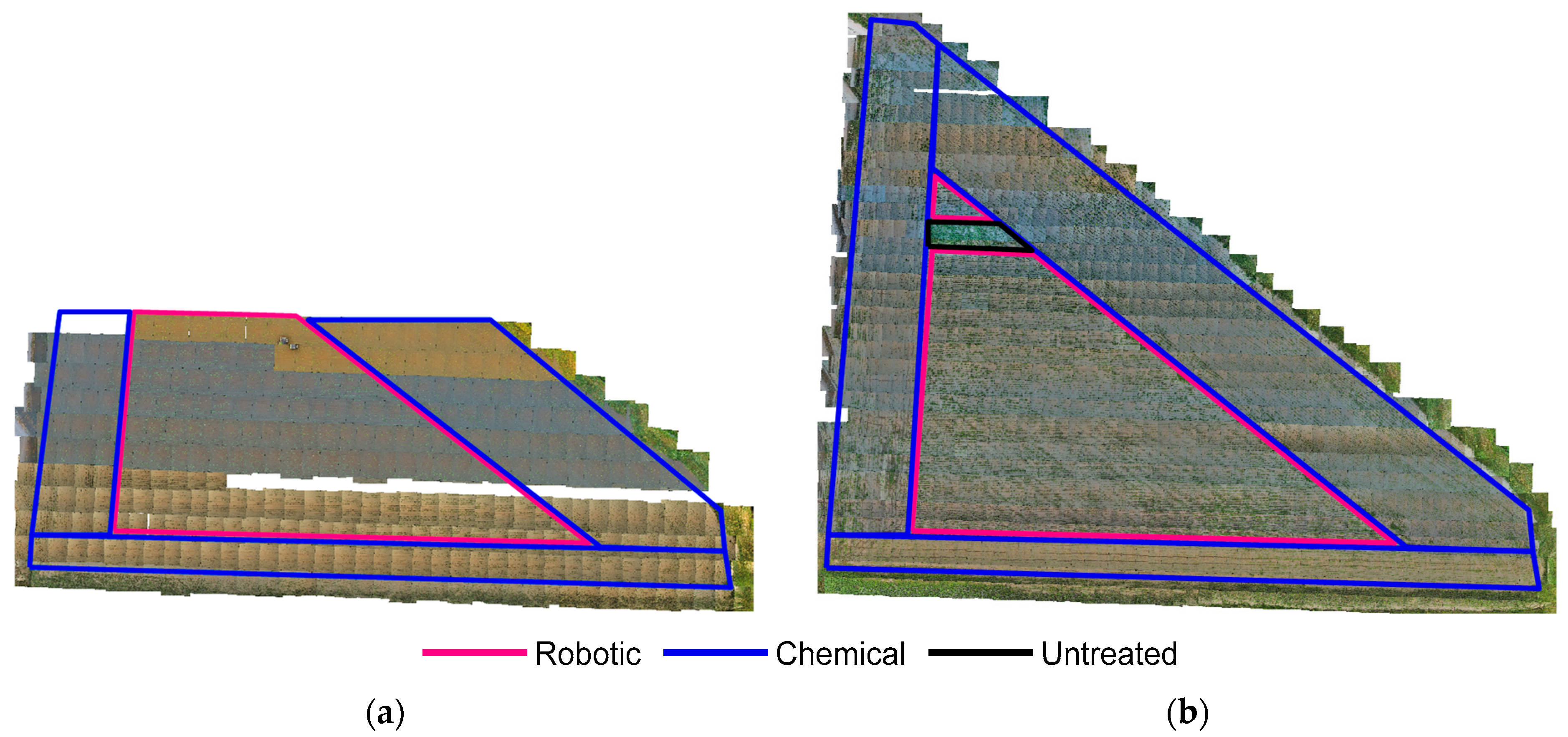 Agronomy 14 02215 g003