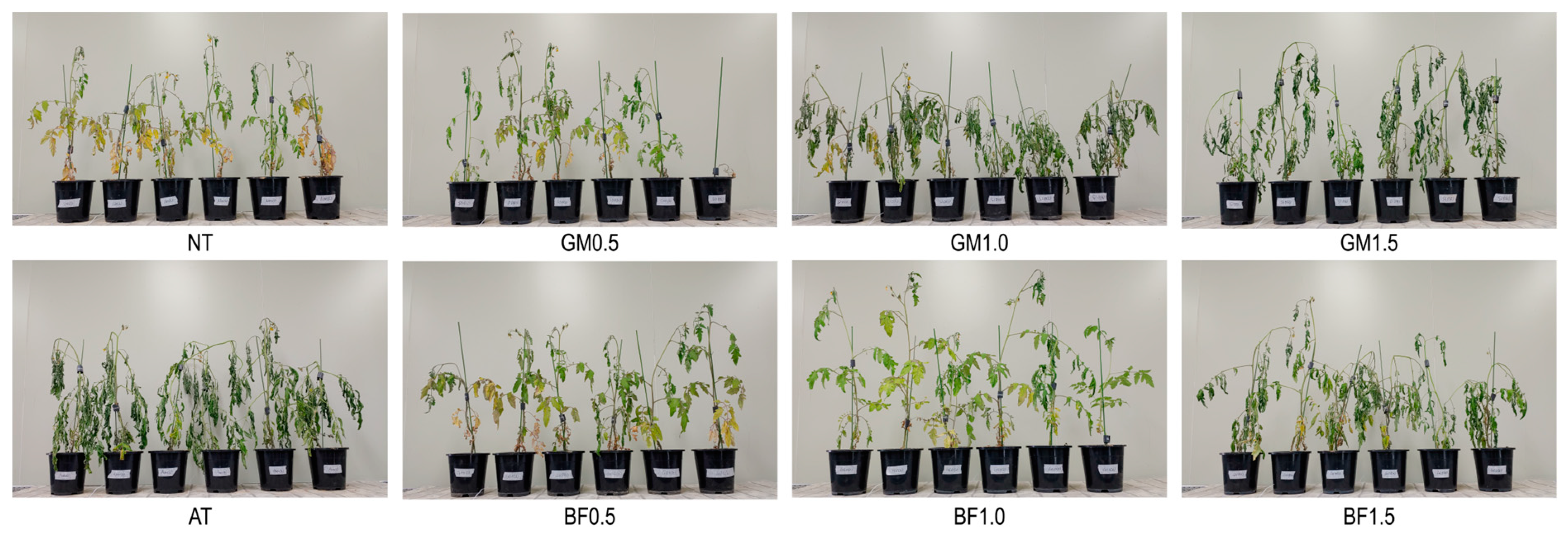 Agronomy 14 02225 g001