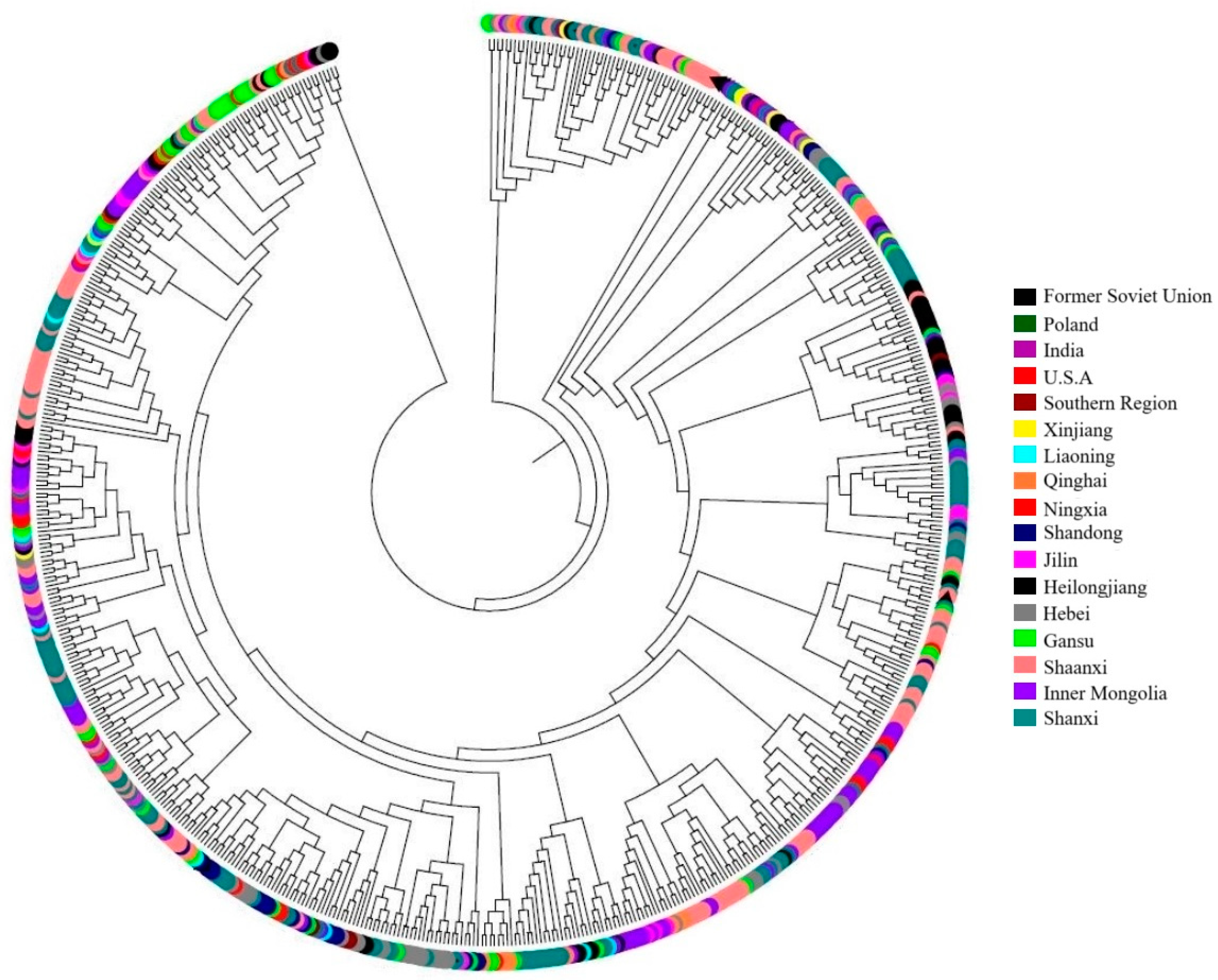 Agronomy 14 02226 g003 Agronomy 14 02226 g003