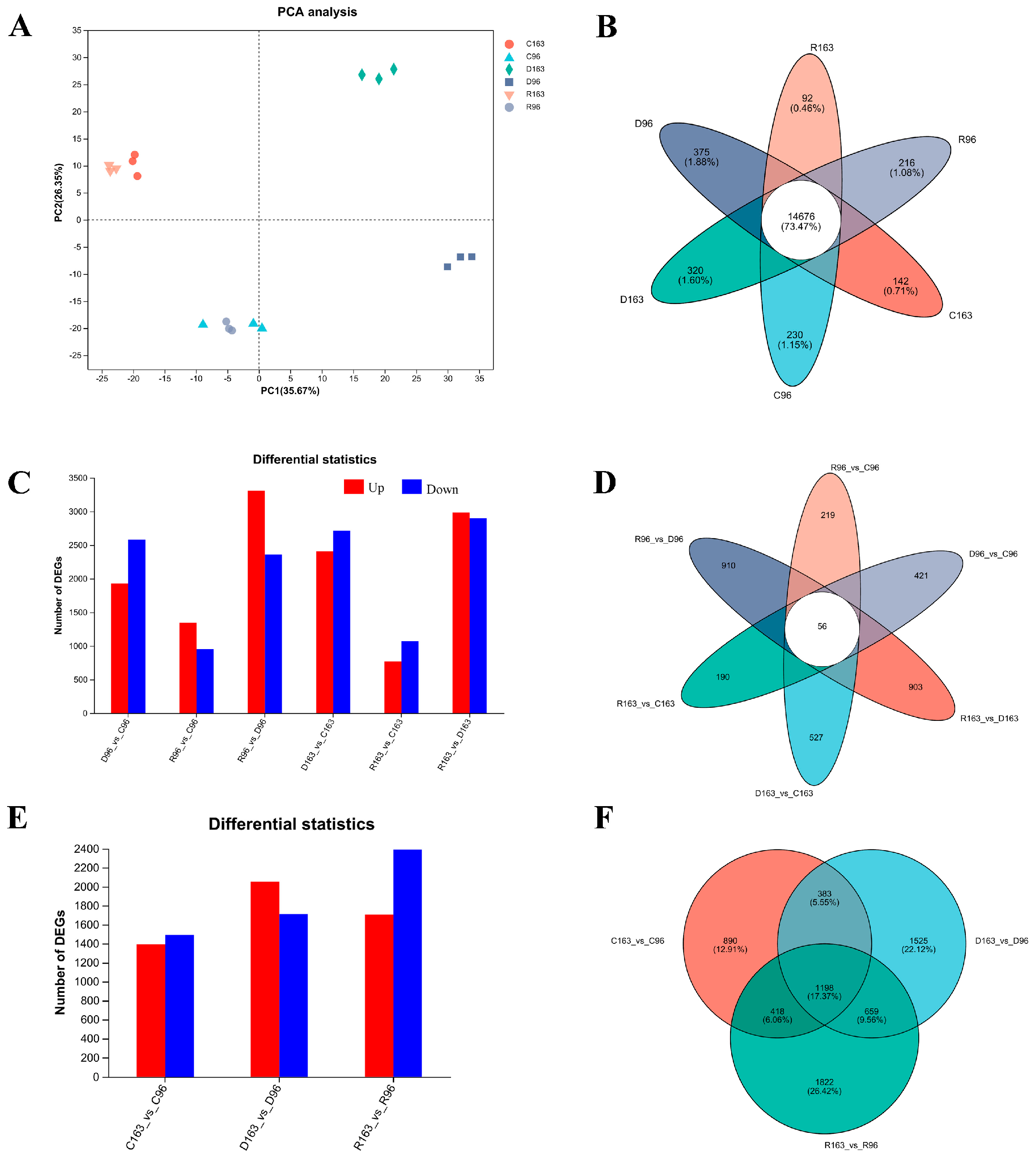 Agronomy 14 02247 g004