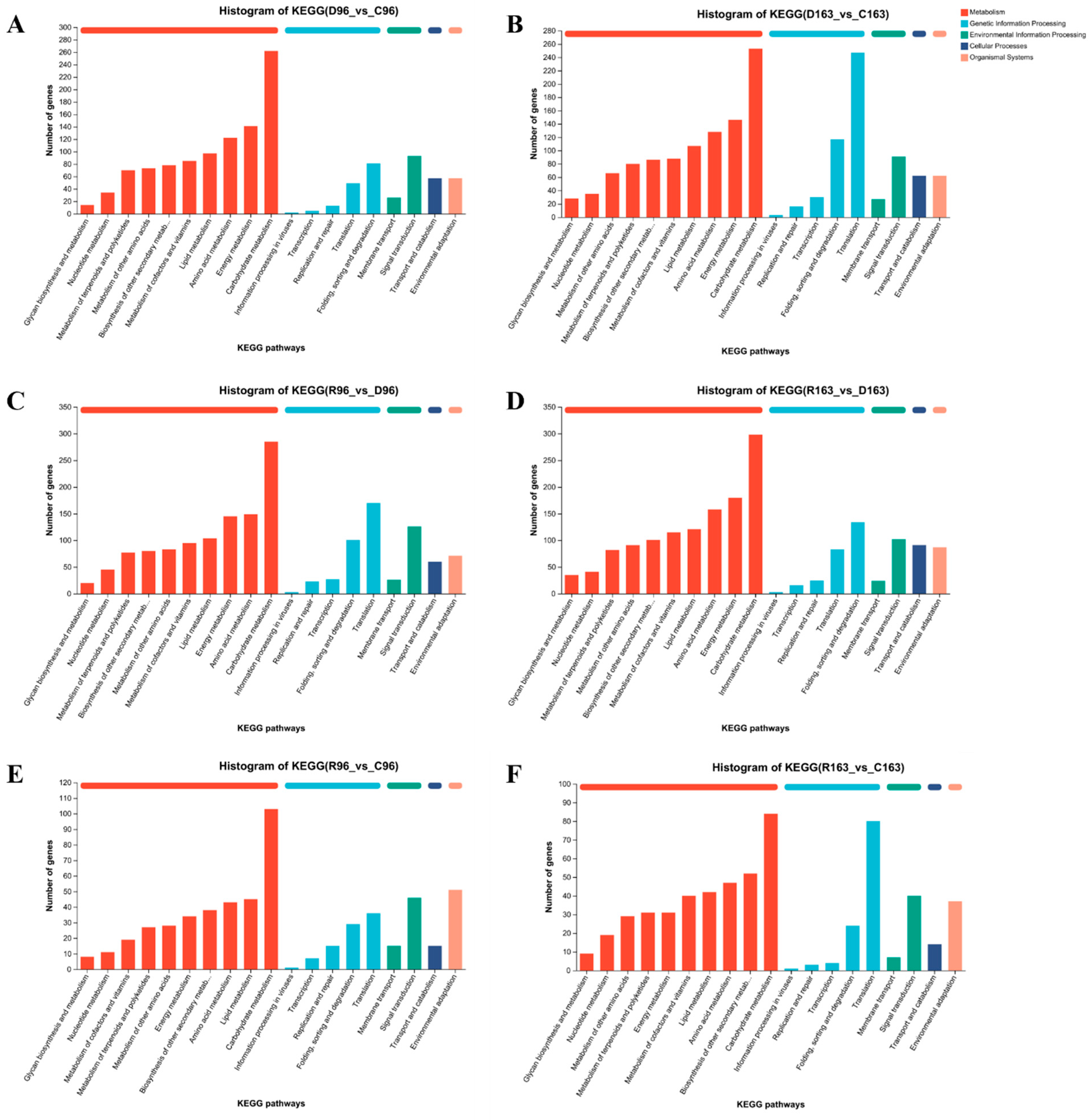 Agronomy 14 02247 g005