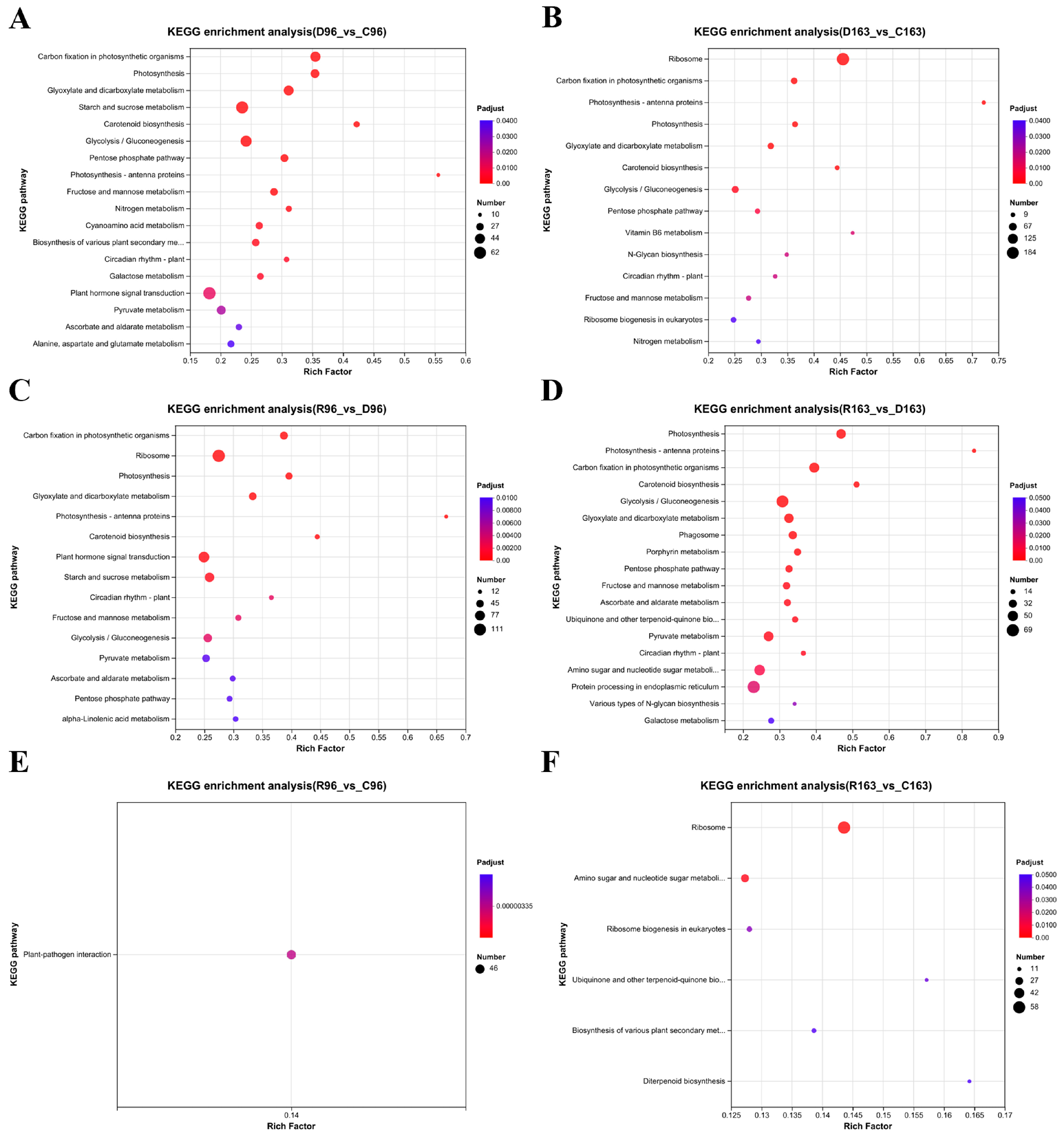 Agronomy 14 02247 g006