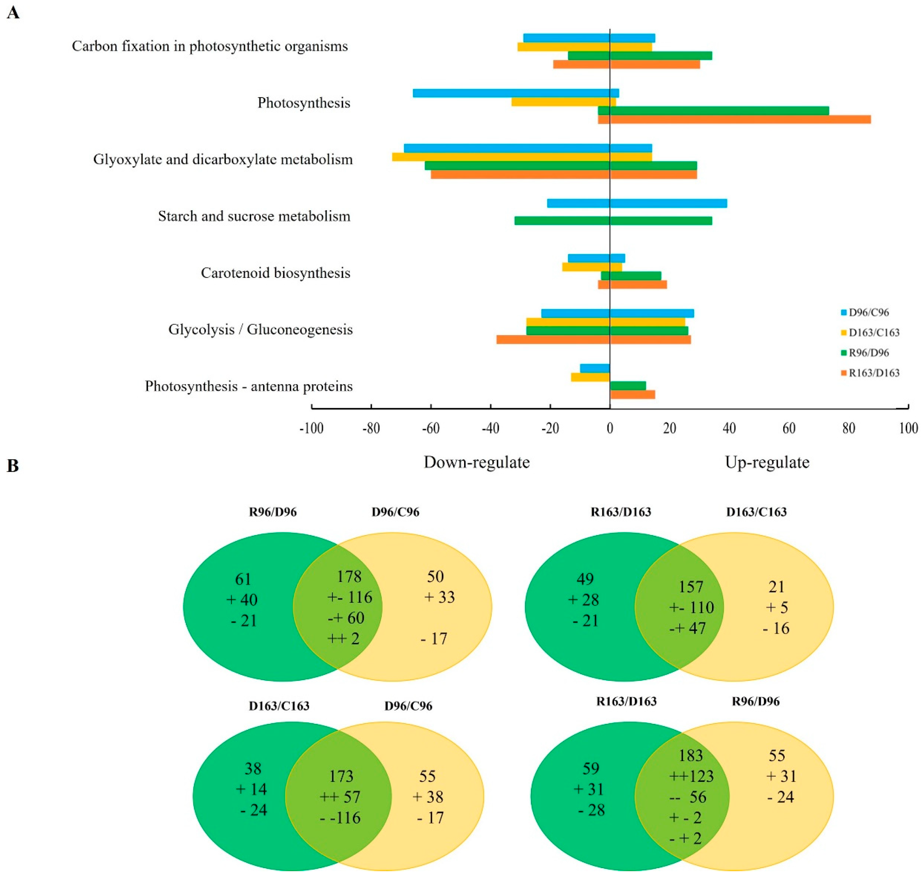 Agronomy 14 02247 g007