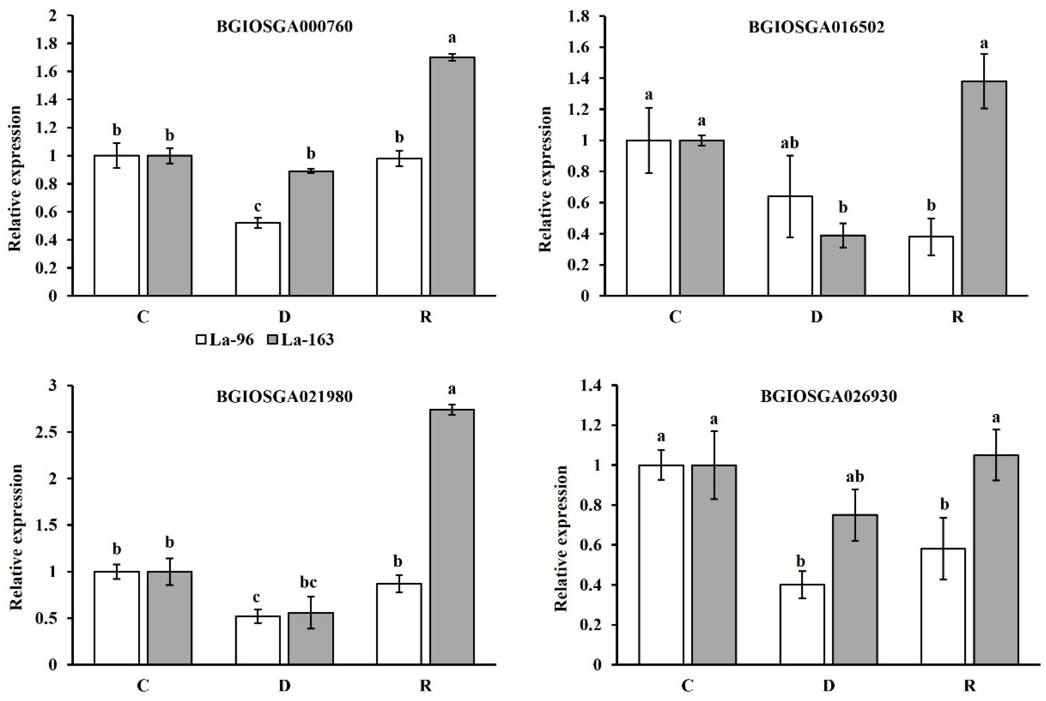 Agronomy 14 02247 g008