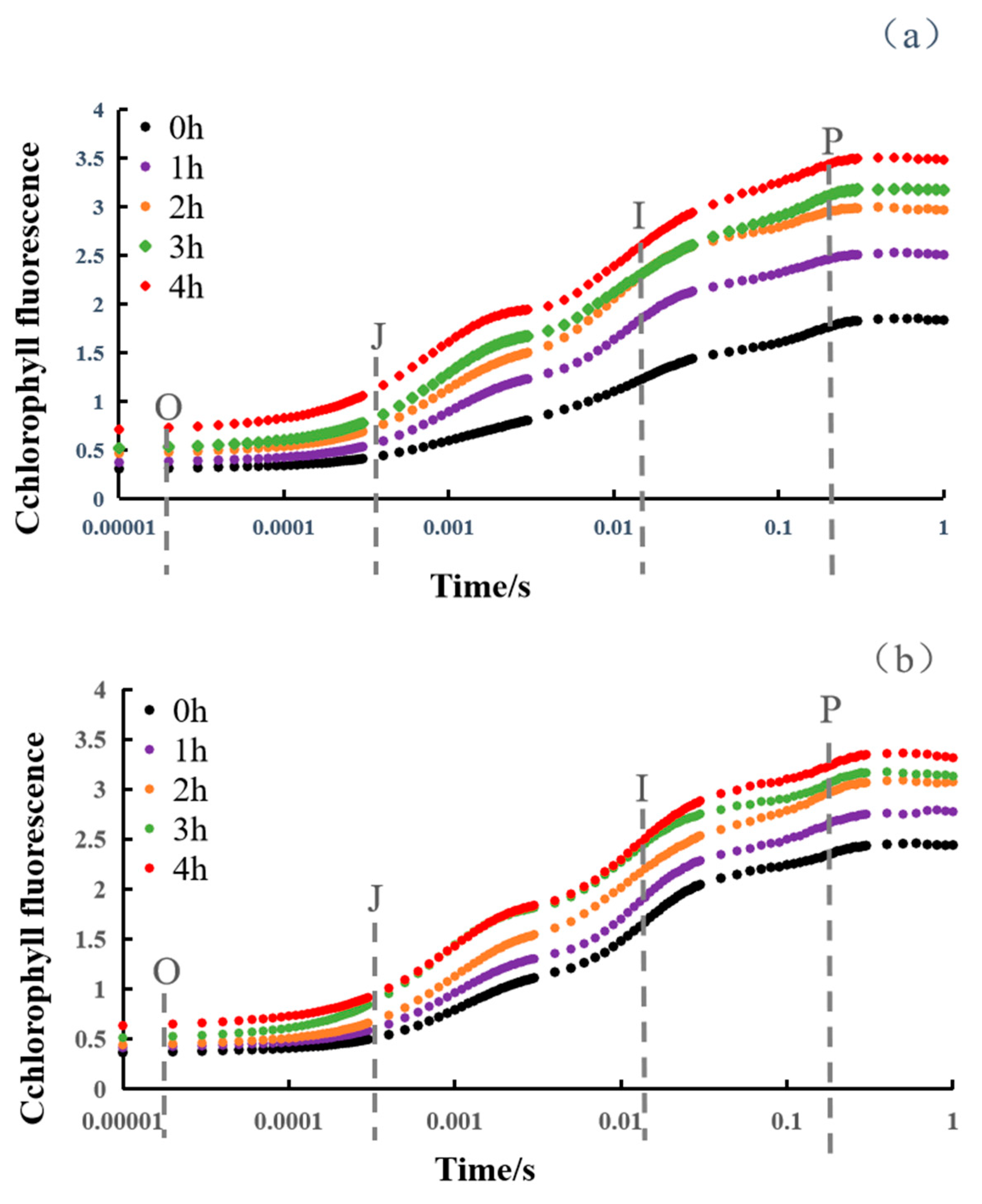 Agronomy 14 02248 g001