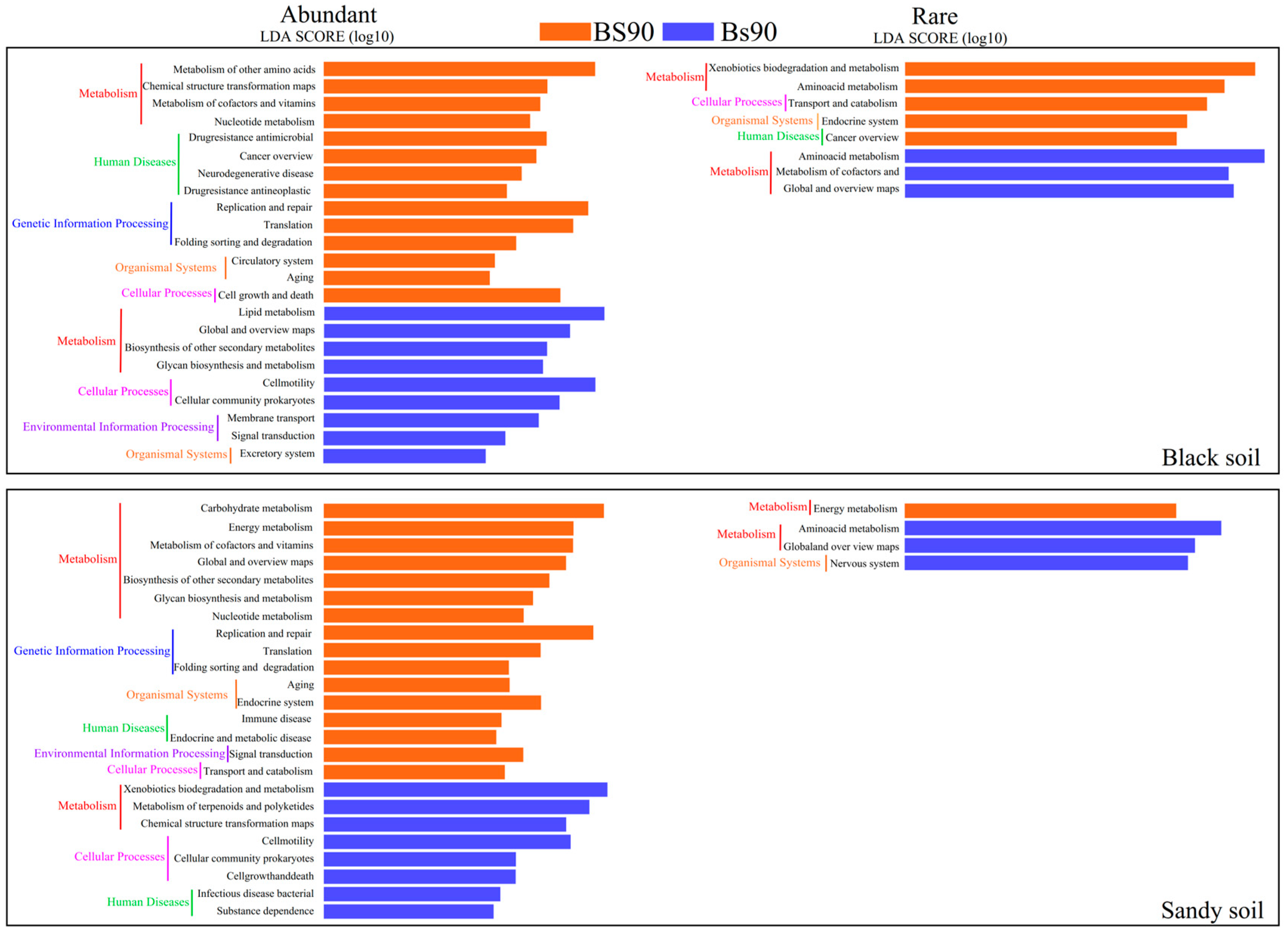 Agronomy 14 02251 g006 Agronomy 14 02251 g006