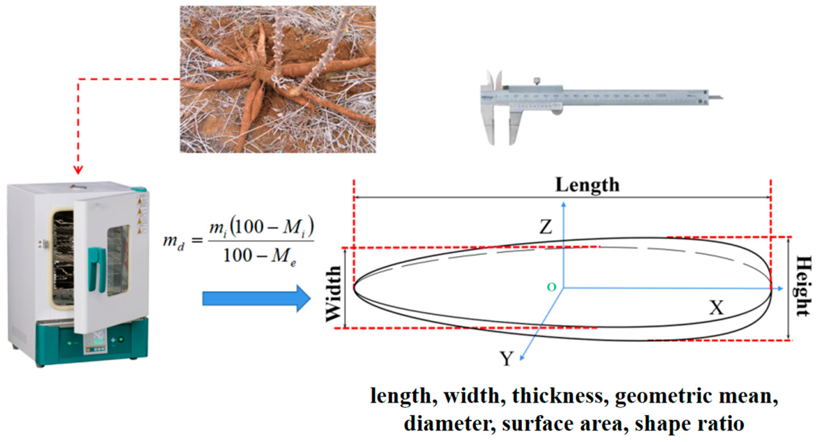 Agronomy 14 02254 g002 Agronomy 14 02254 g002