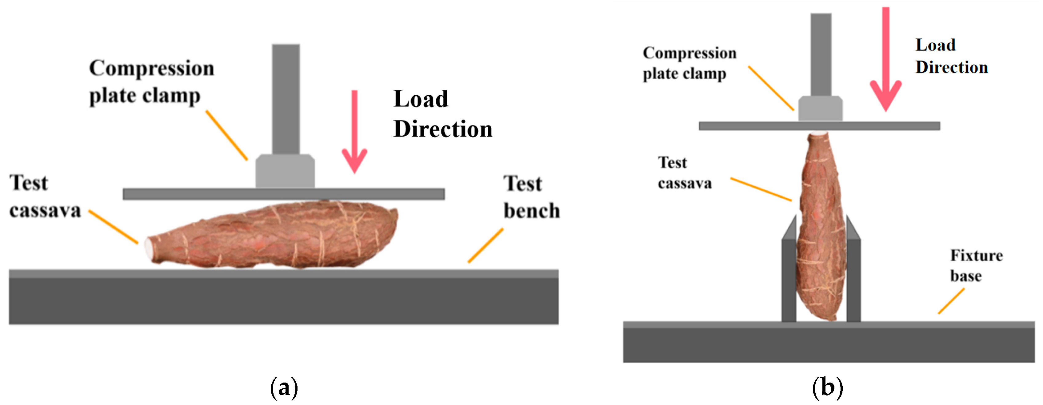 Agronomy 14 02254 g003 Agronomy 14 02254 g003