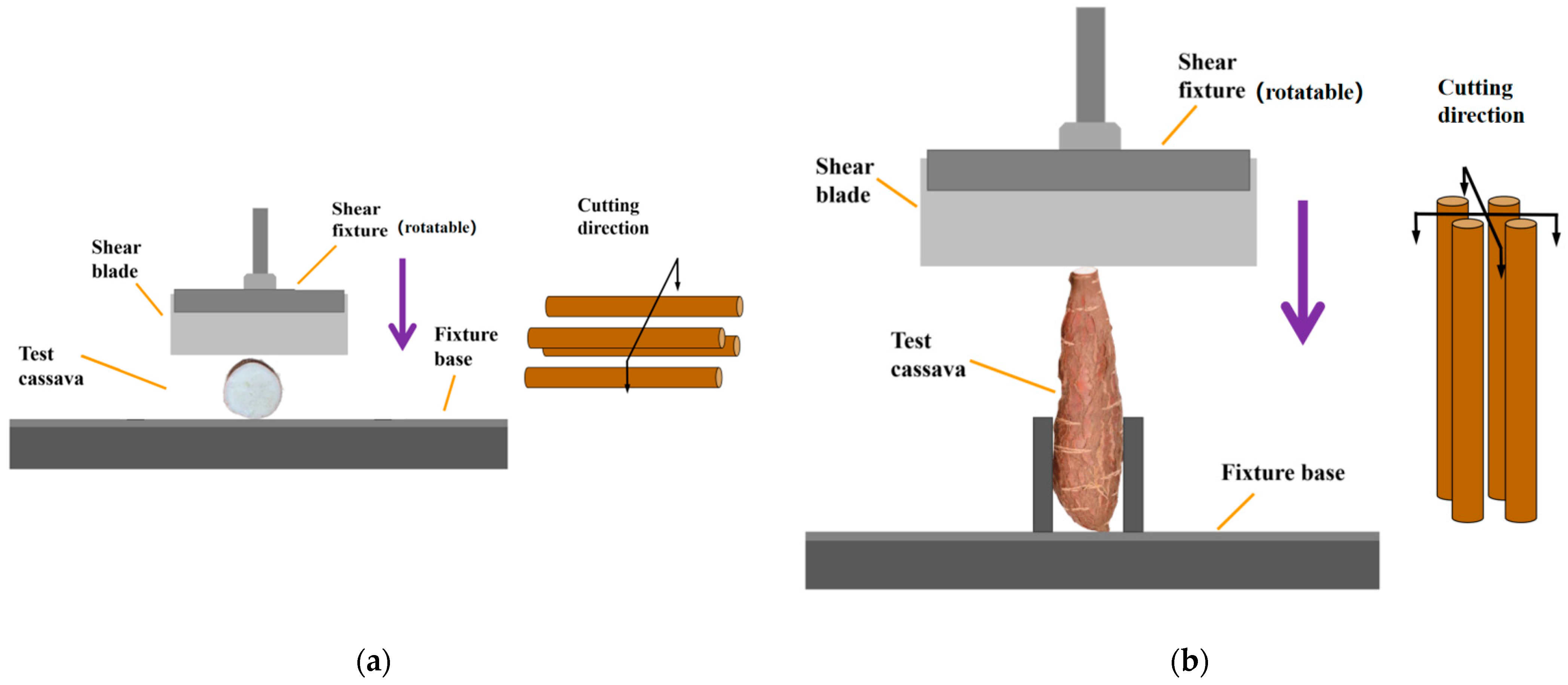 Agronomy 14 02254 g004 Agronomy 14 02254 g004