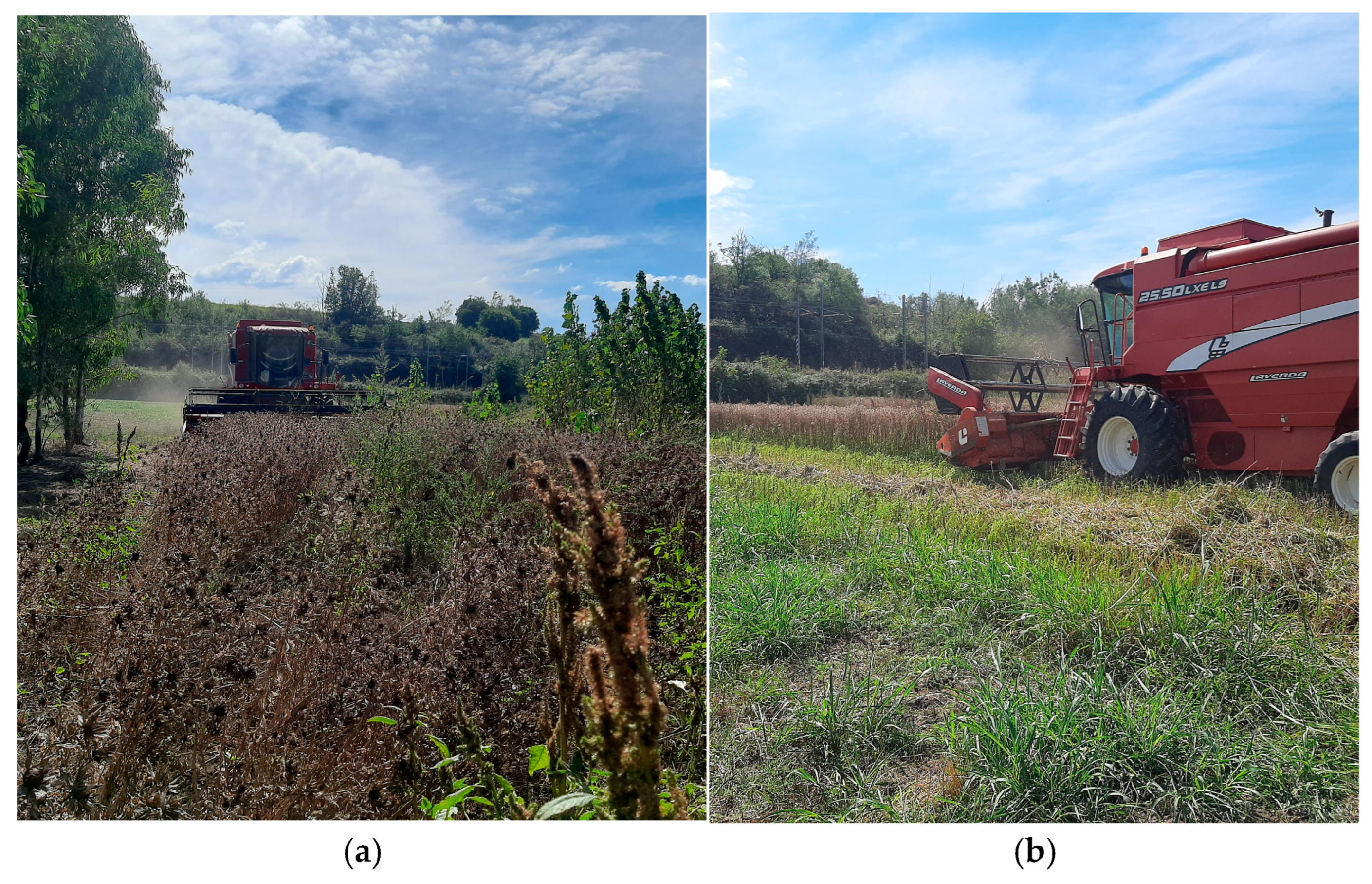 Agronomy 14 02268 g003