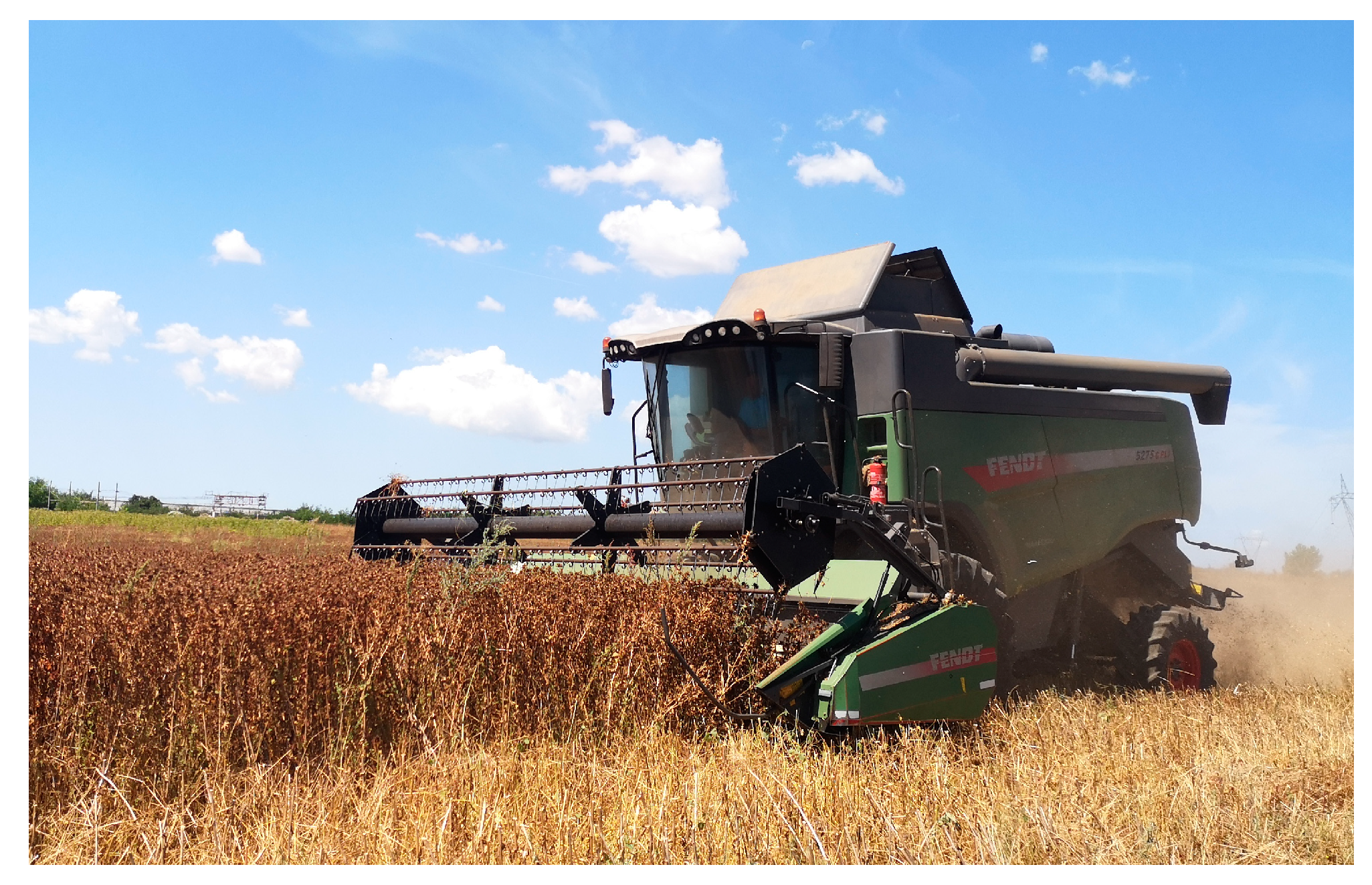 Agronomy 14 02268 g004