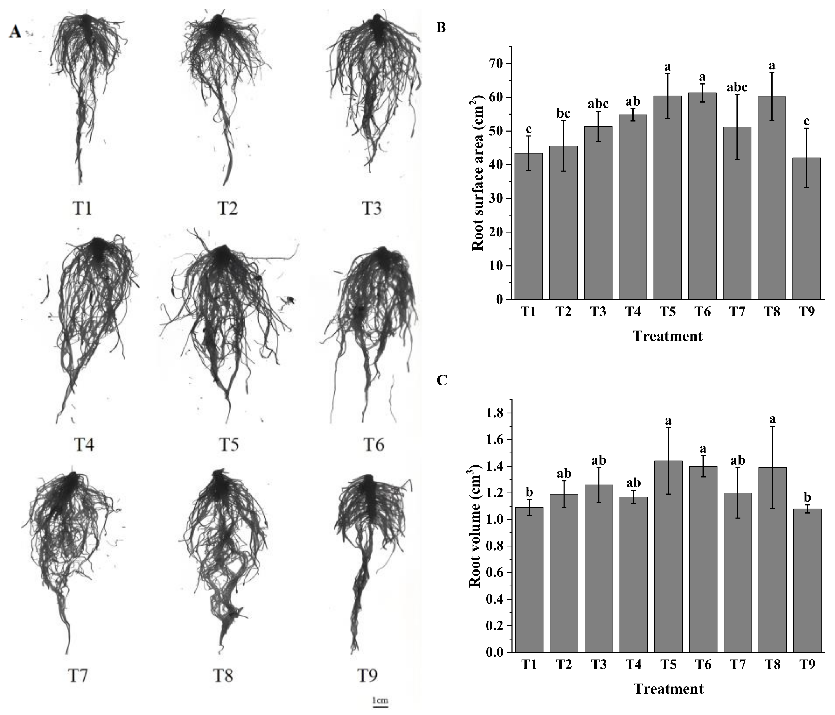 Agronomy 14 02270 g001