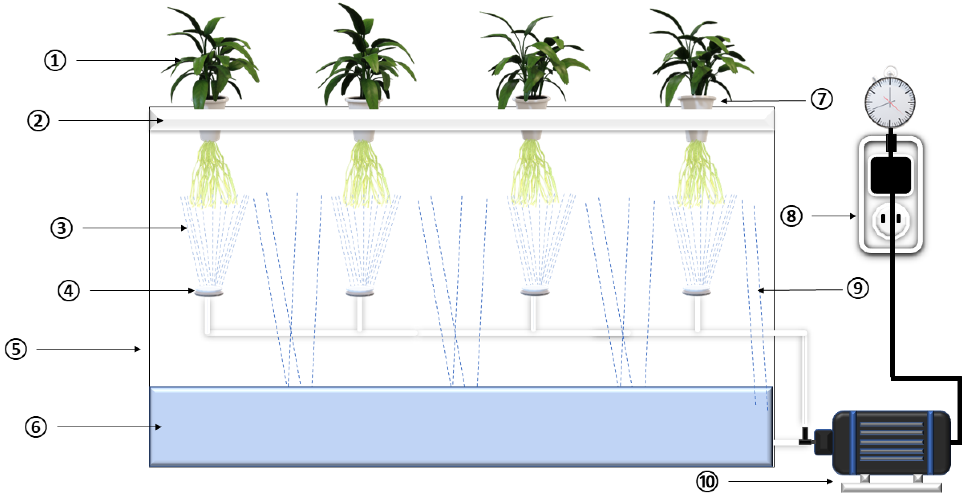 Agronomy 14 02289 g002 Agronomy 14 02289 g002