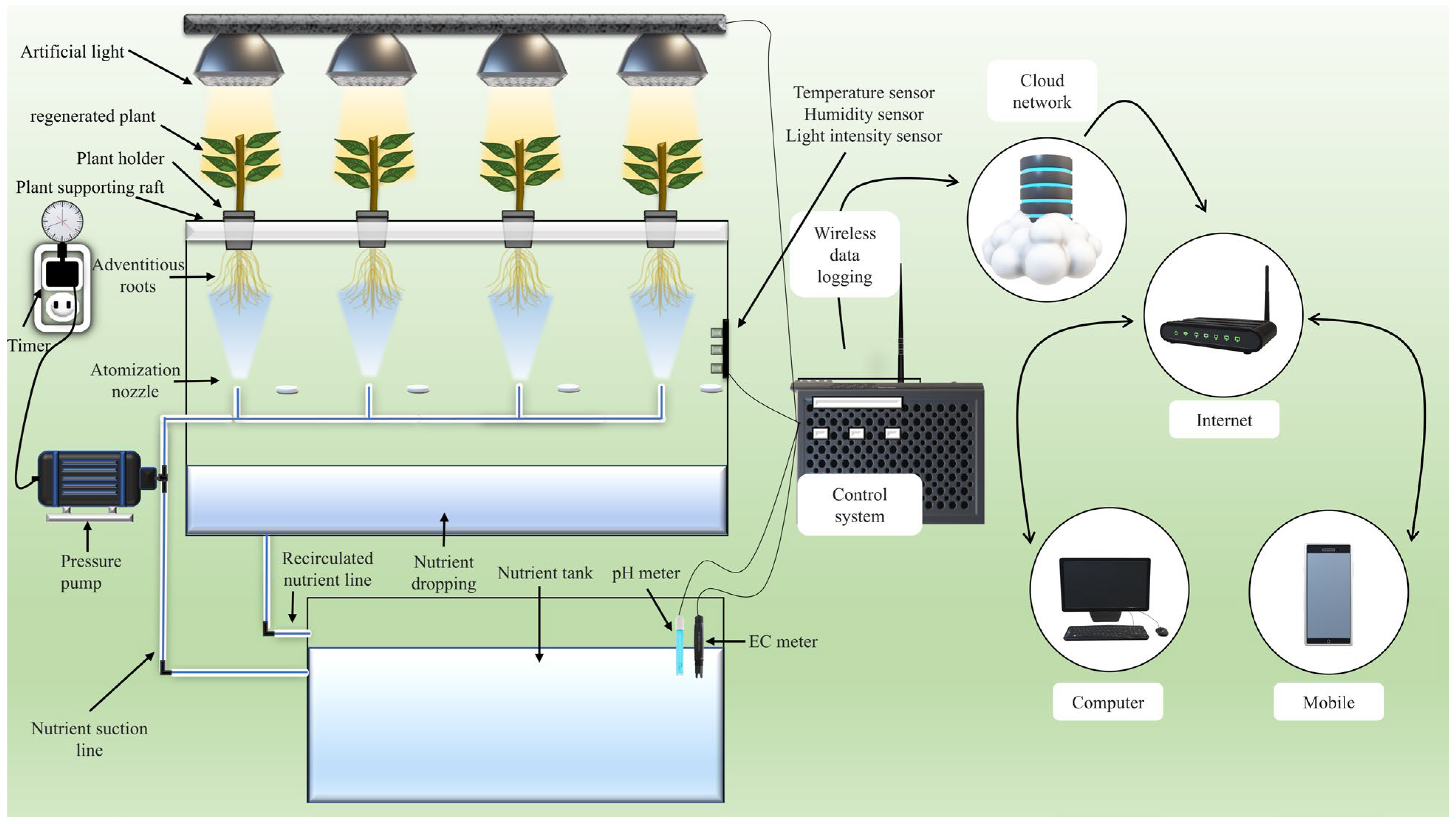 Agronomy 14 02289 g003 Agronomy 14 02289 g003