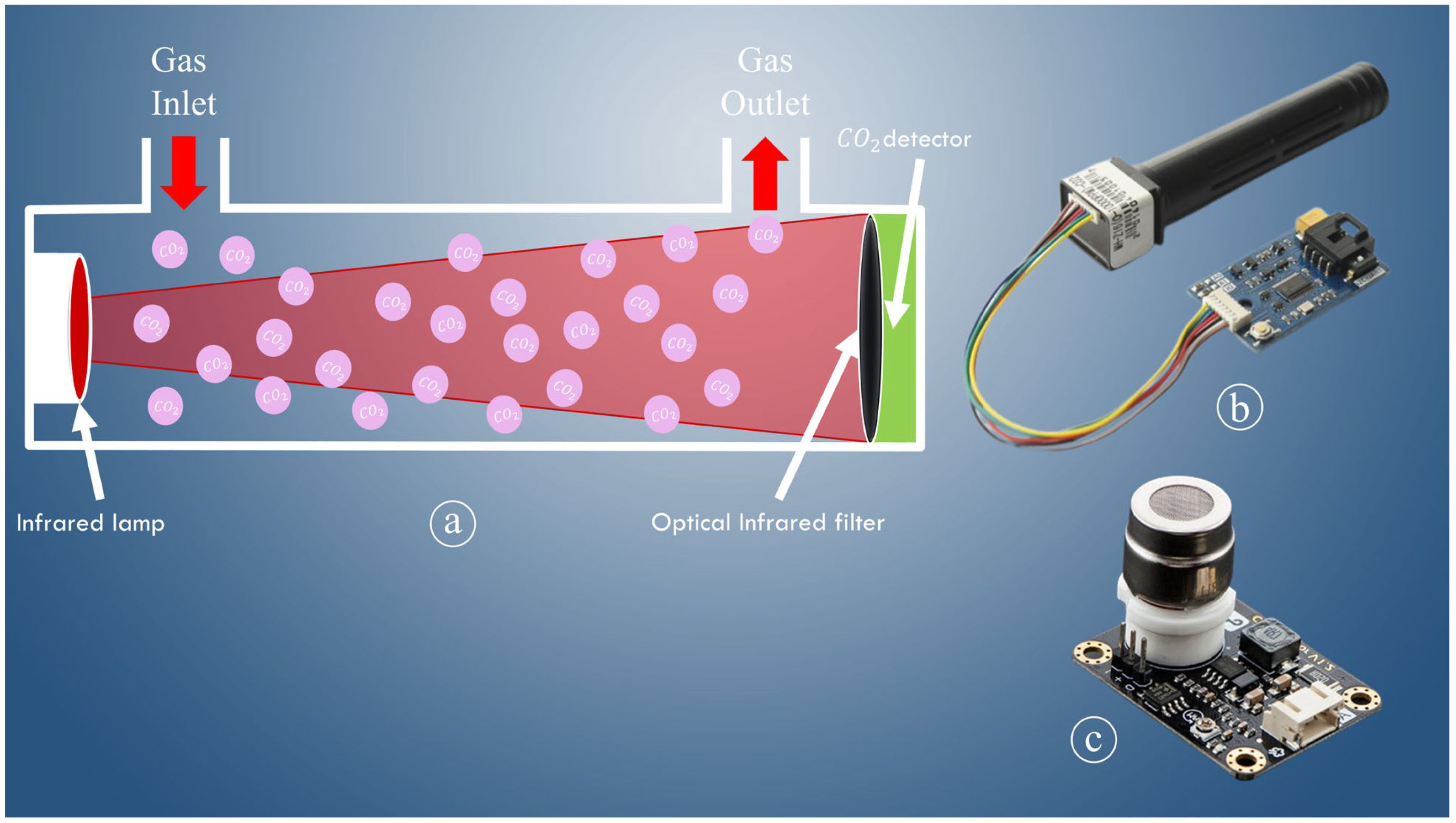 Agronomy 14 02289 g006 Agronomy 14 02289 g006