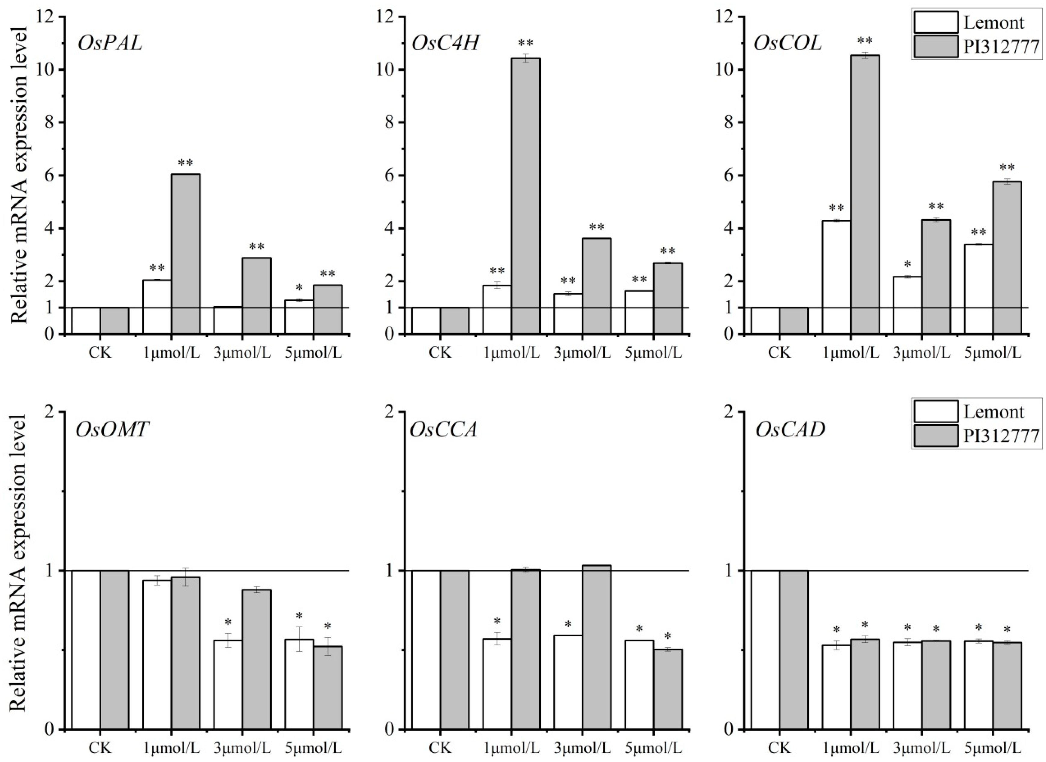 Agronomy 14 02297 g006